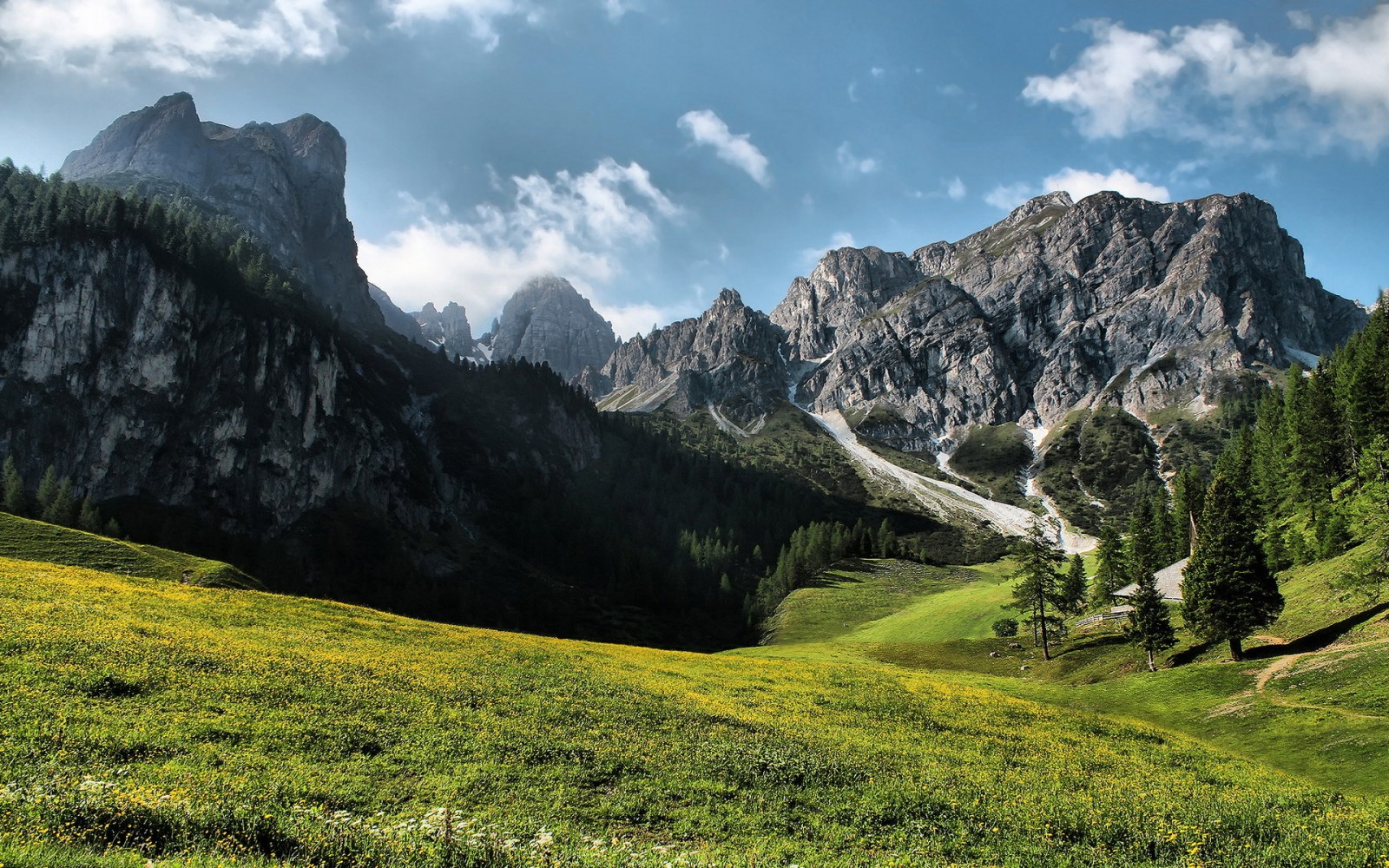 Sunlit Mountain Meadow, a landscape nature wallpaper