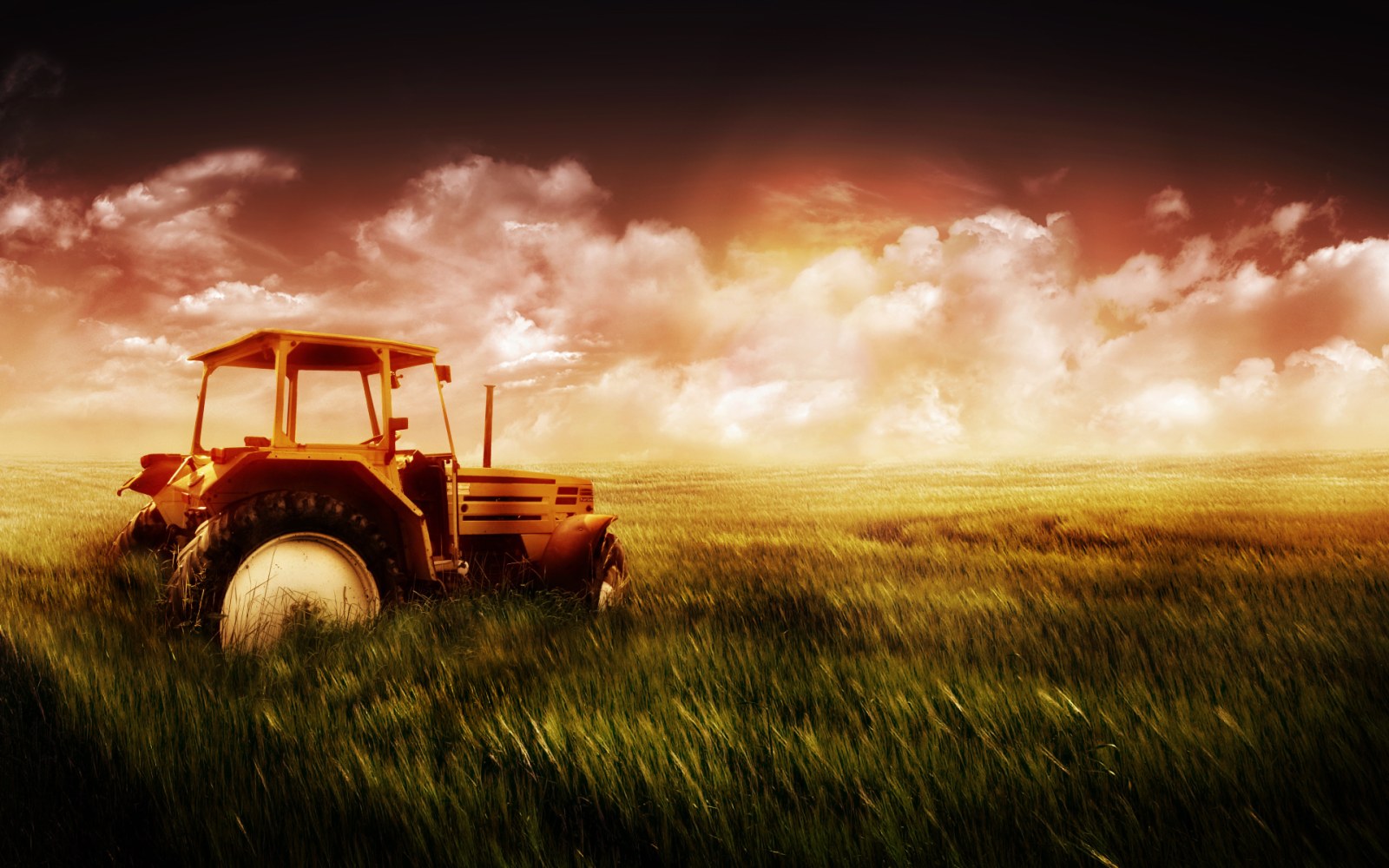 Tractor in a Golden Field Wallpaper — Nature wallpaper
