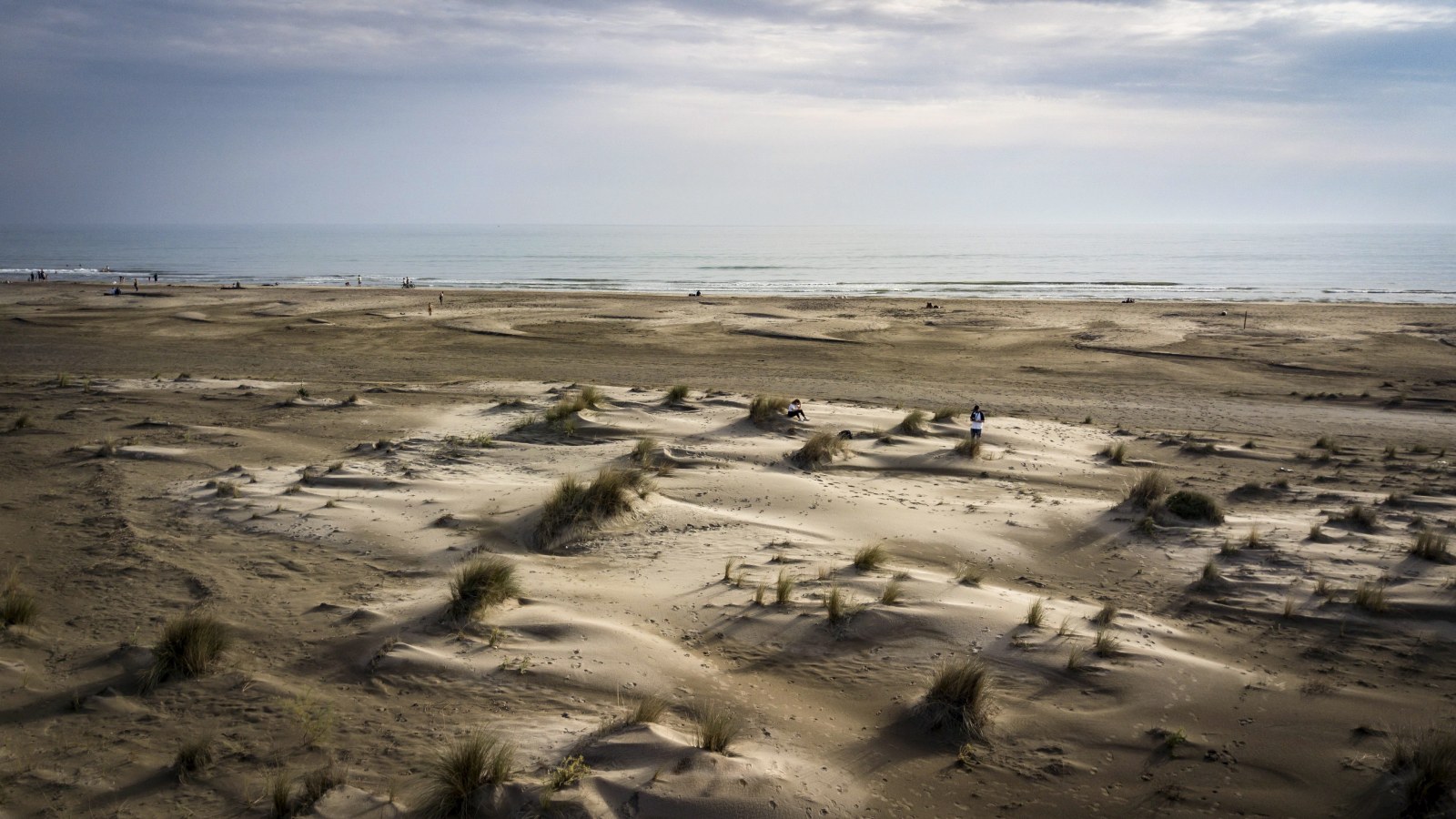Windswept Sand and Pebbles — Ocean & Beach wallpaper