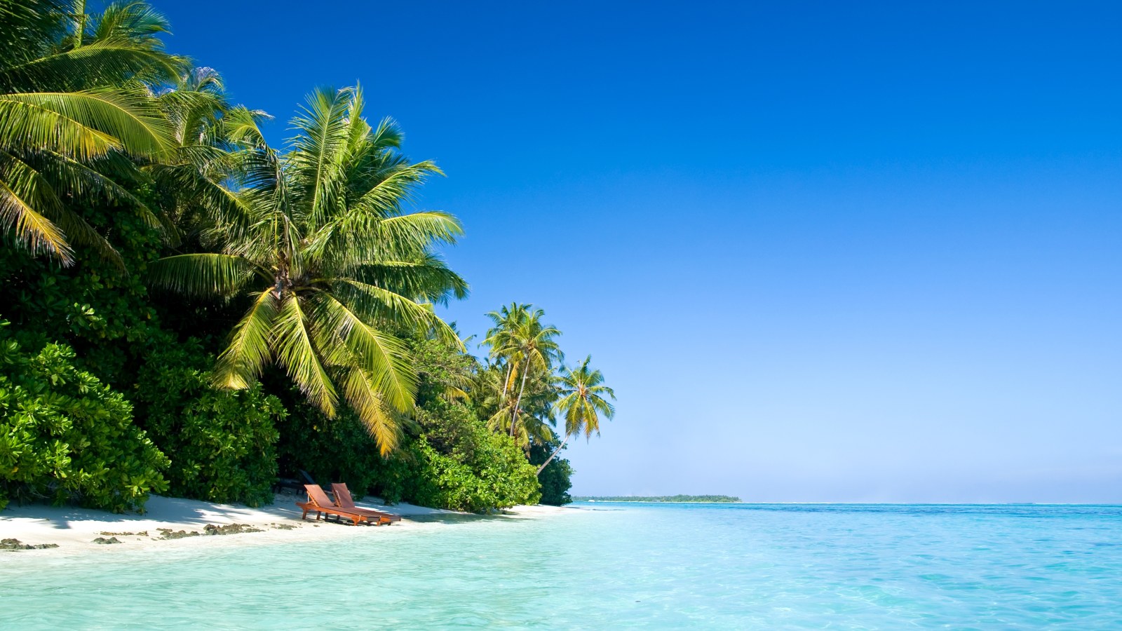 Palm Trees on a Tropical Island — Ocean & Beach wallpaper