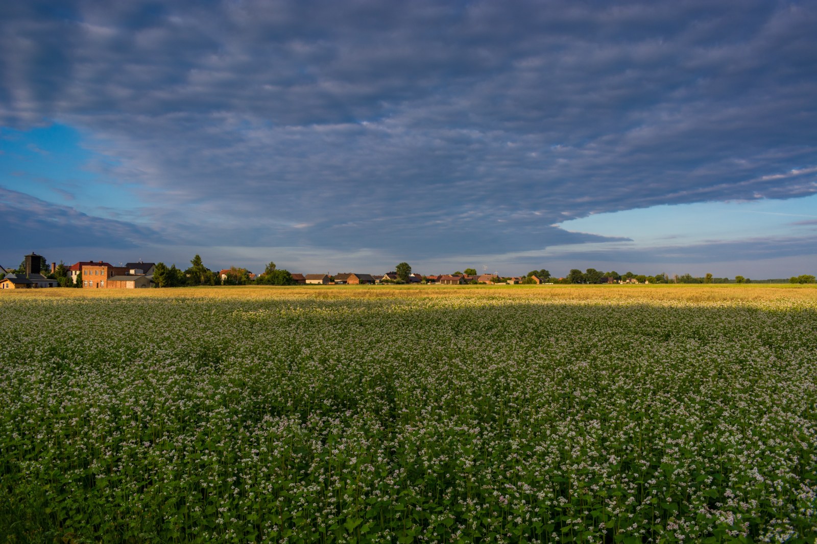 Landscape Desktop Background 4K Wallpaper — Sunsets & Sunrises wallpaper
