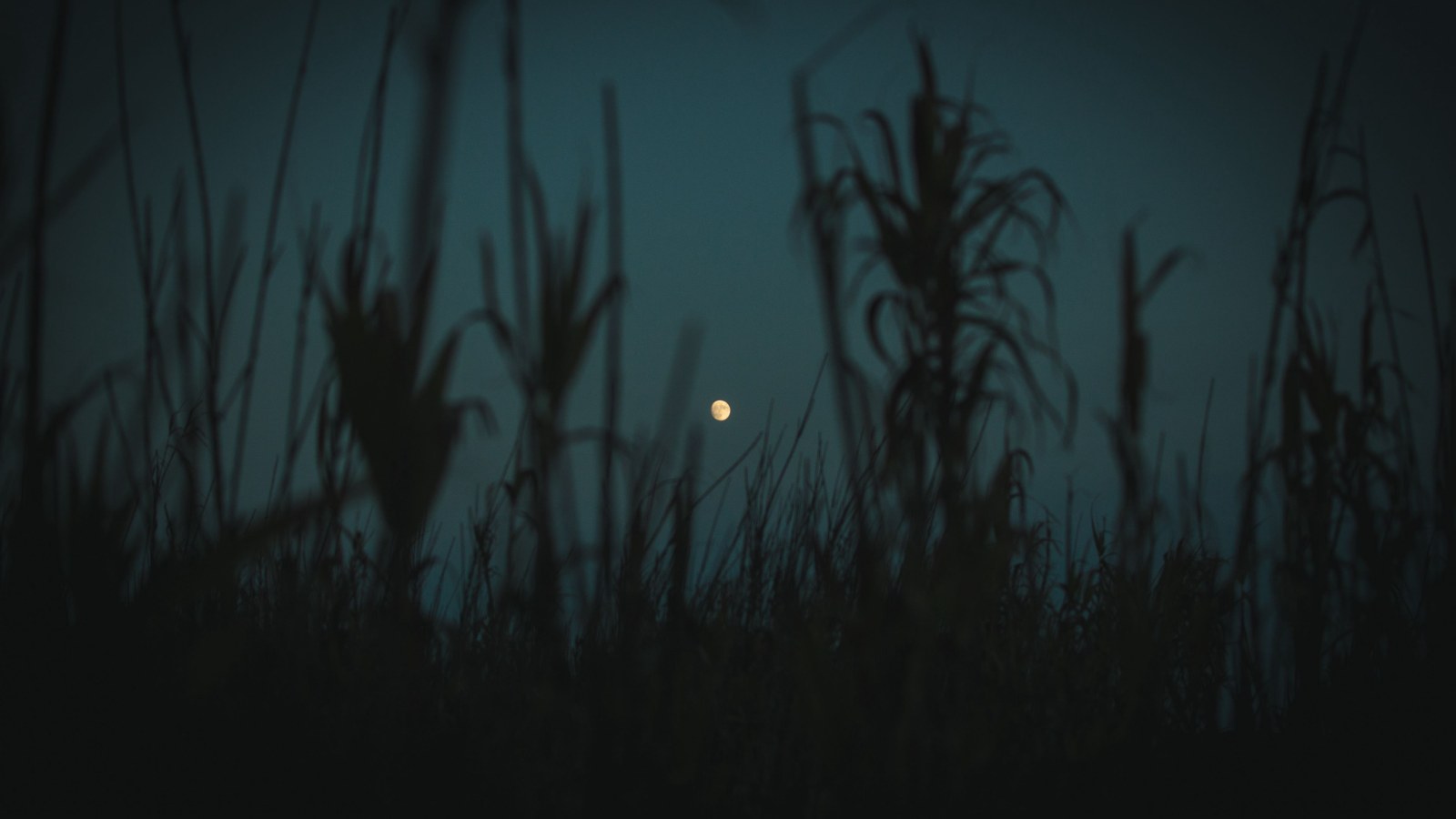 Moon in Dark Natural Light — Night Sky wallpaper