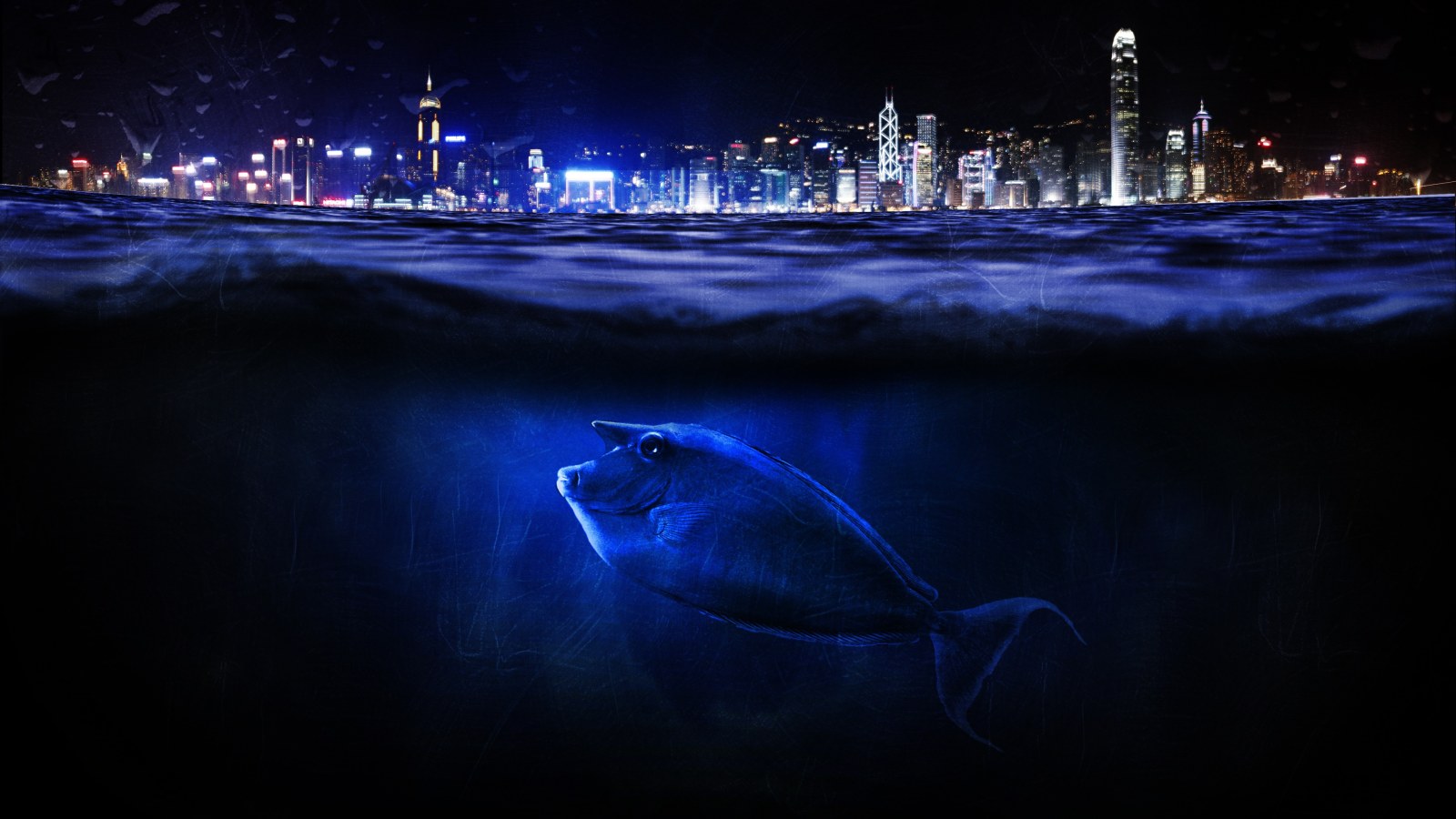 Ocean and Cityscape in Natural Light — Underwater wallpaper