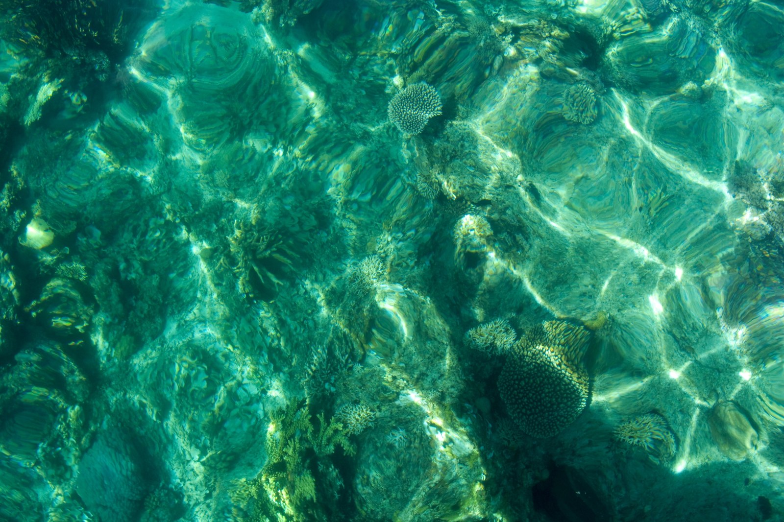 Coral Reef in Bacuit Bay, Palawan — Ocean & Beach wallpaper
