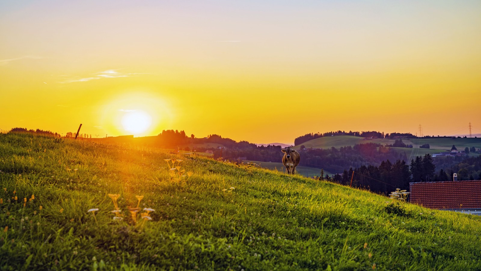 Sunrise Sky in Beige Tones — Sunsets & Sunrises wallpaper