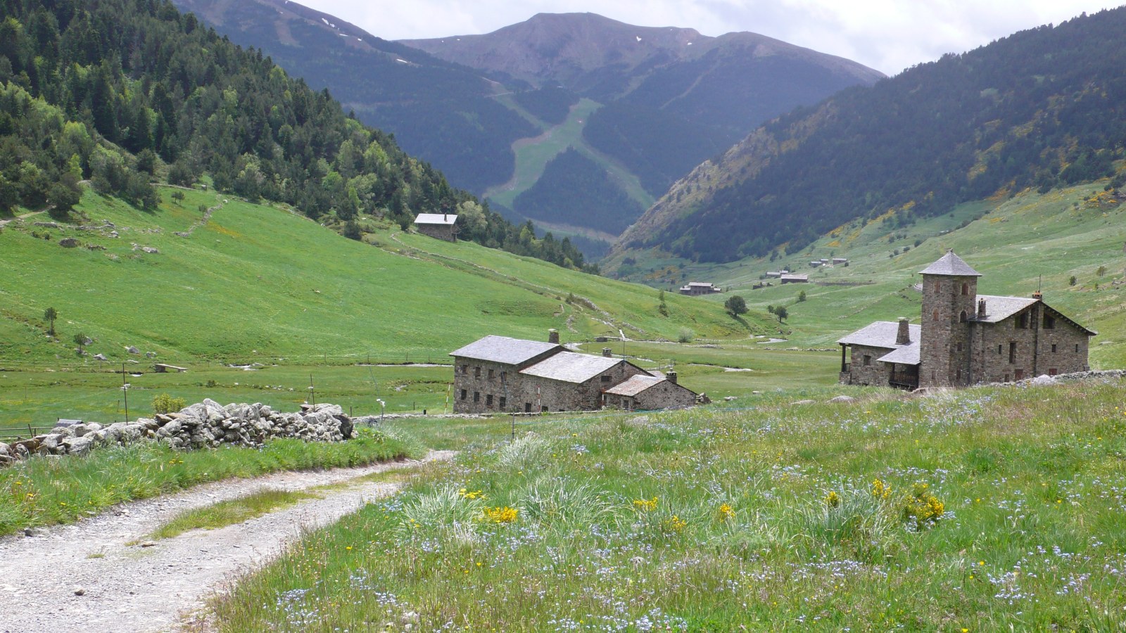 Pyrenees Meadow — Nature wallpaper
