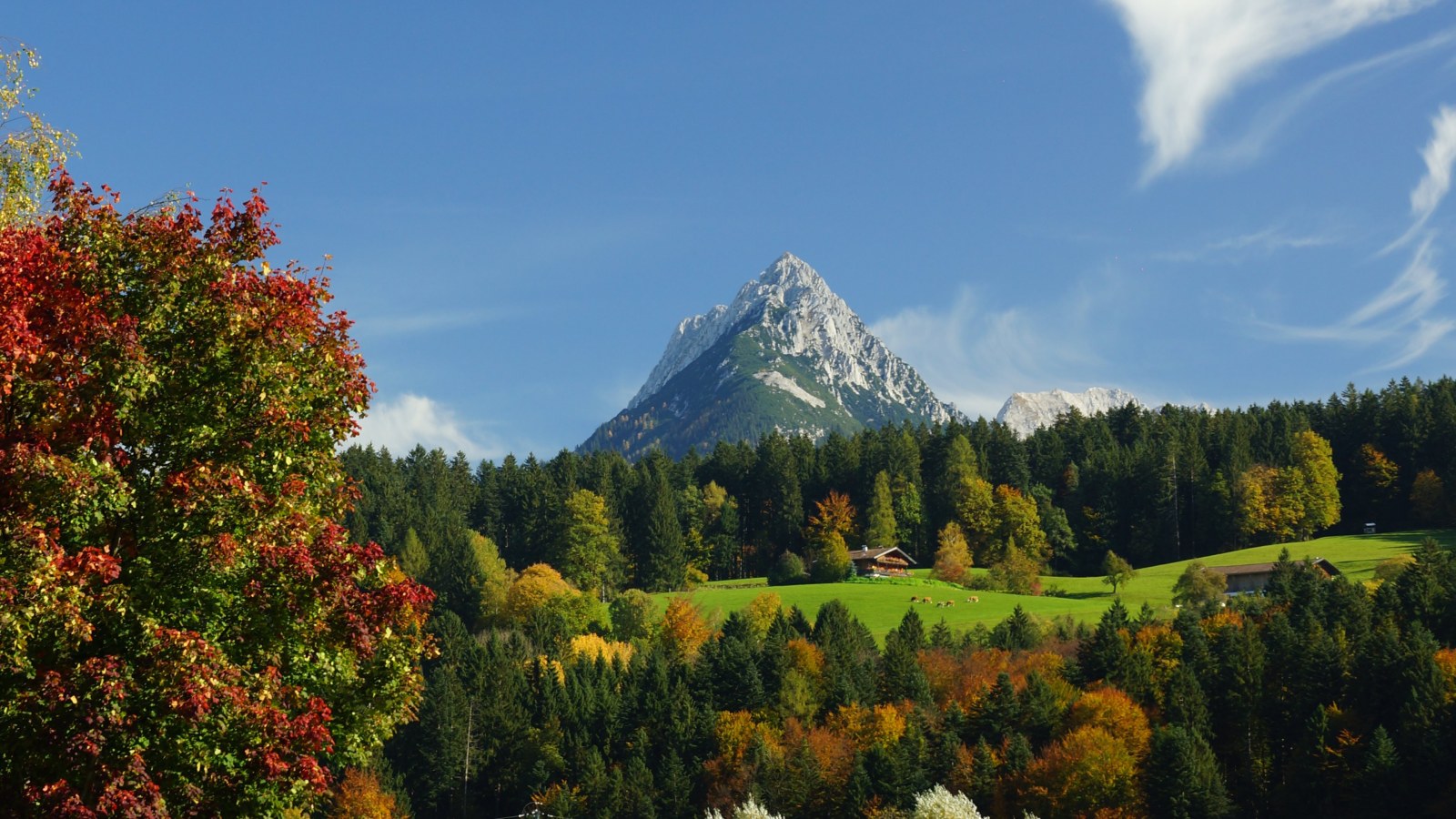 Autumn Trees Beneath a Mountain Peak 4K Wallpaper — Nature wallpaper