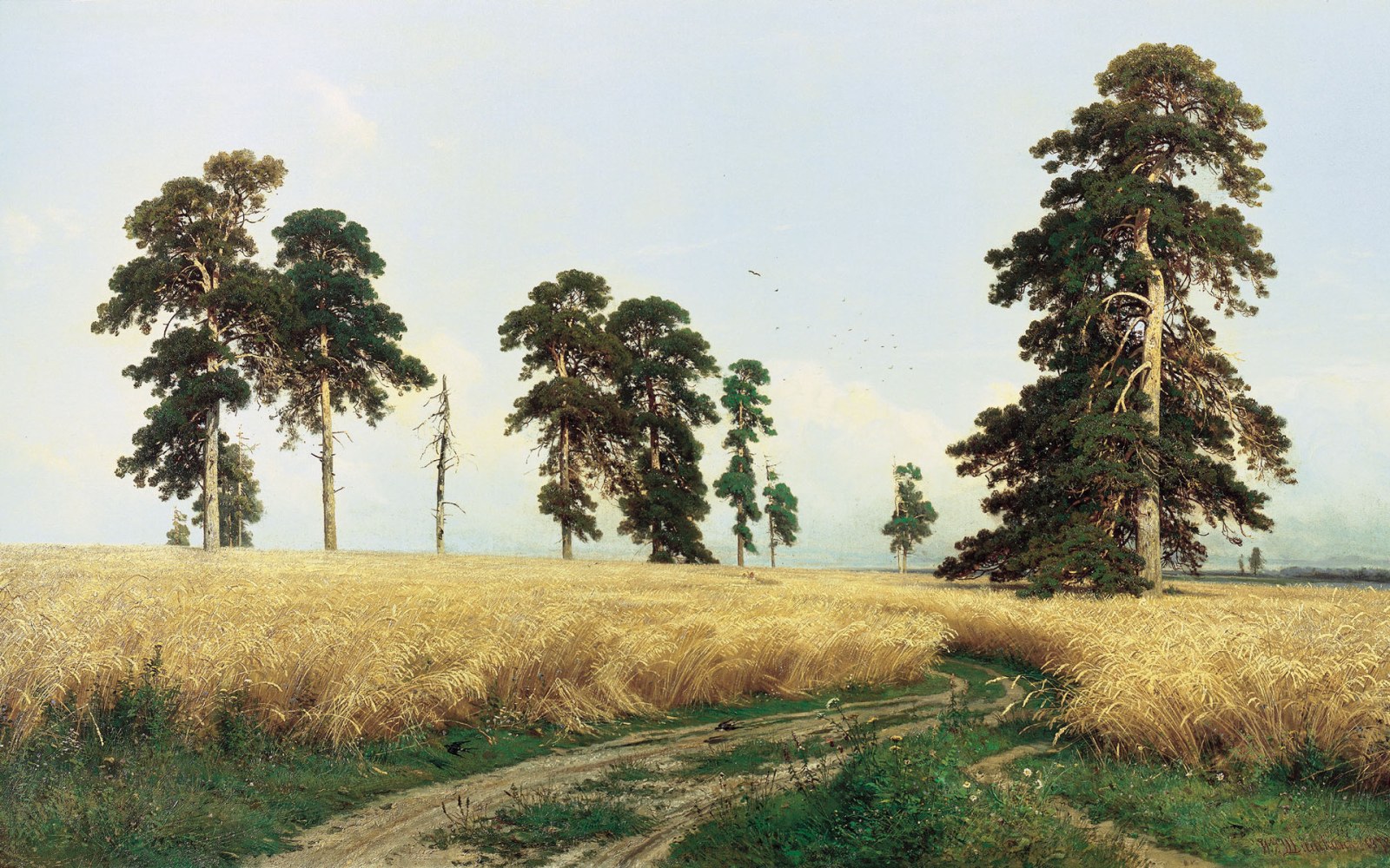 Country Track Through Golden Fields Wallpaper — Nature wallpaper