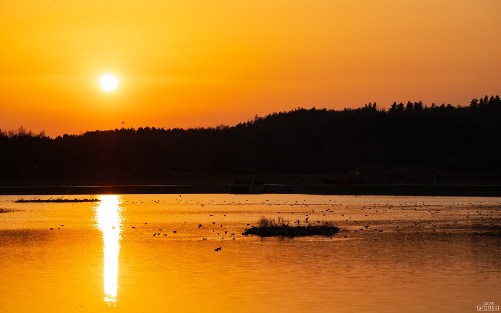 Lake in Warm Natural Light — Sunsets & Sunrises wallpaper