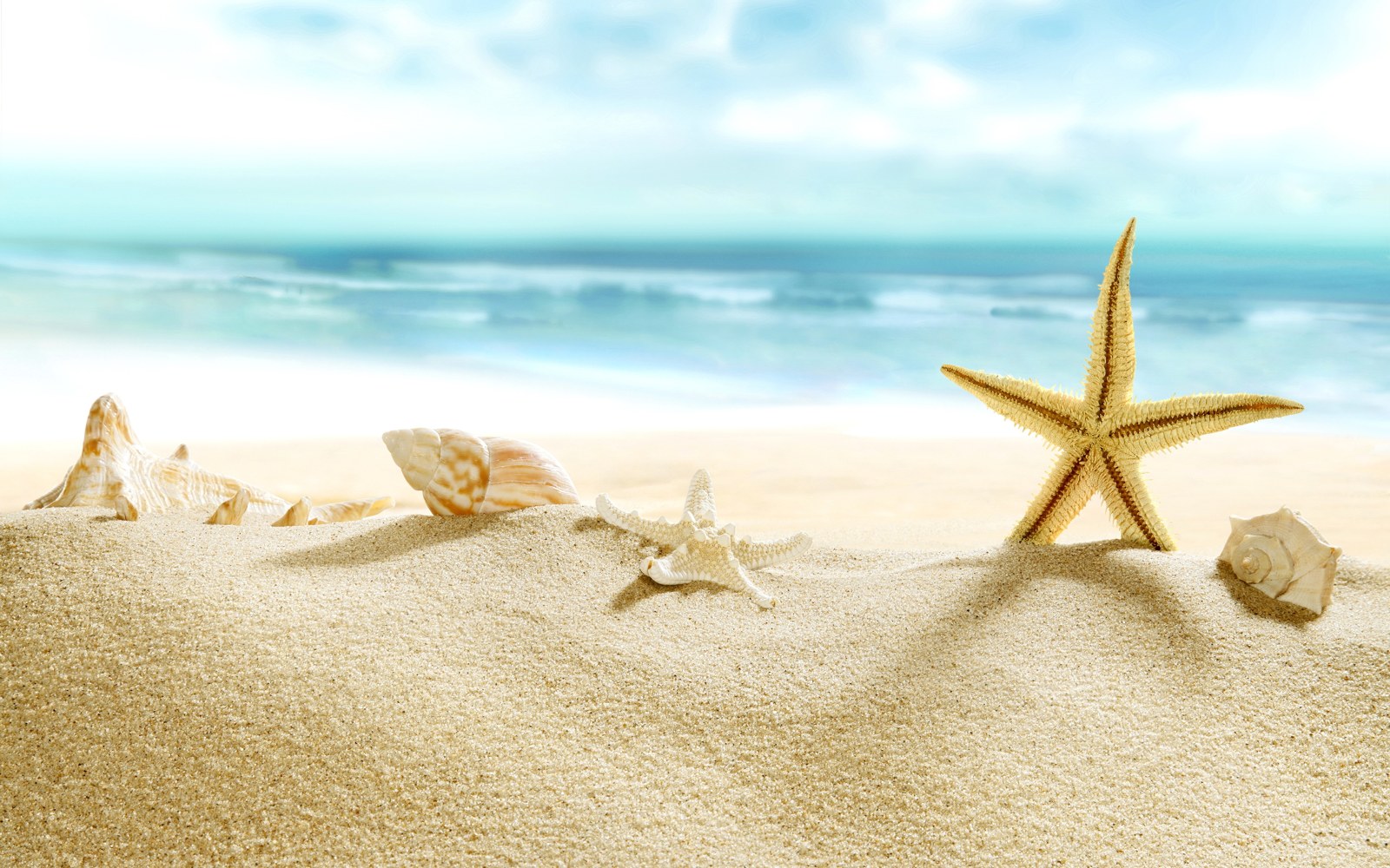 Starfish and Seashells on the Sand — Ocean & Beach wallpaper