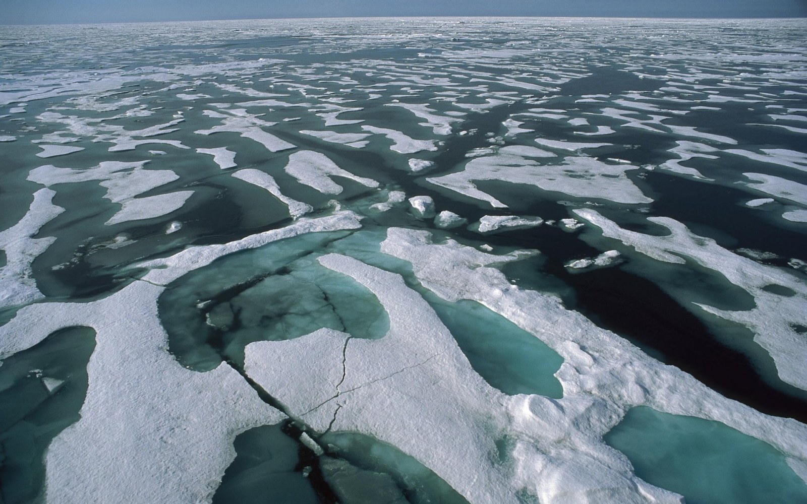 Sea Ice Patterns from Above Wallpaper — Nature wallpaper