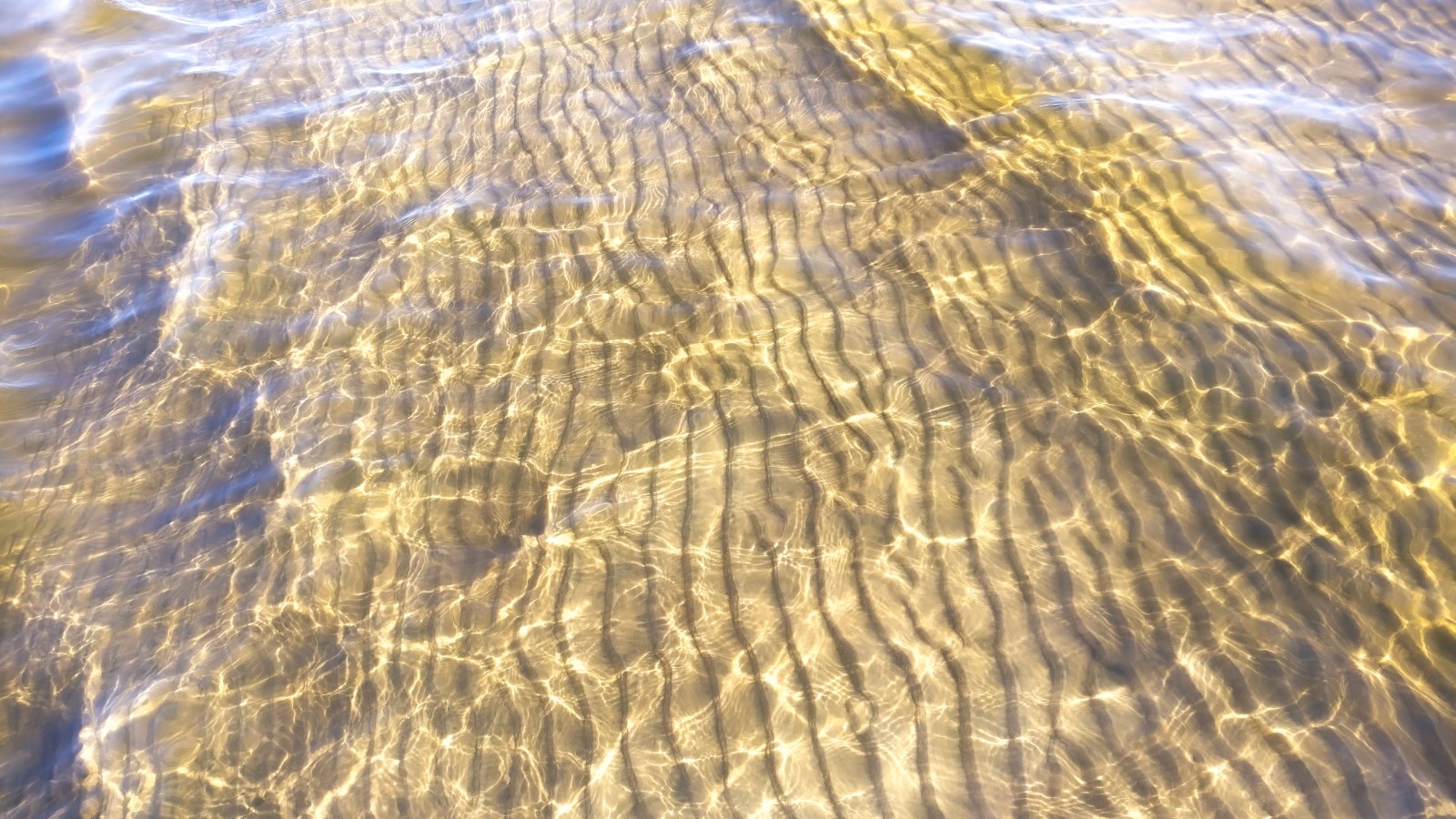 Rippled Sand Under Clear Water — Ocean & Beach wallpaper