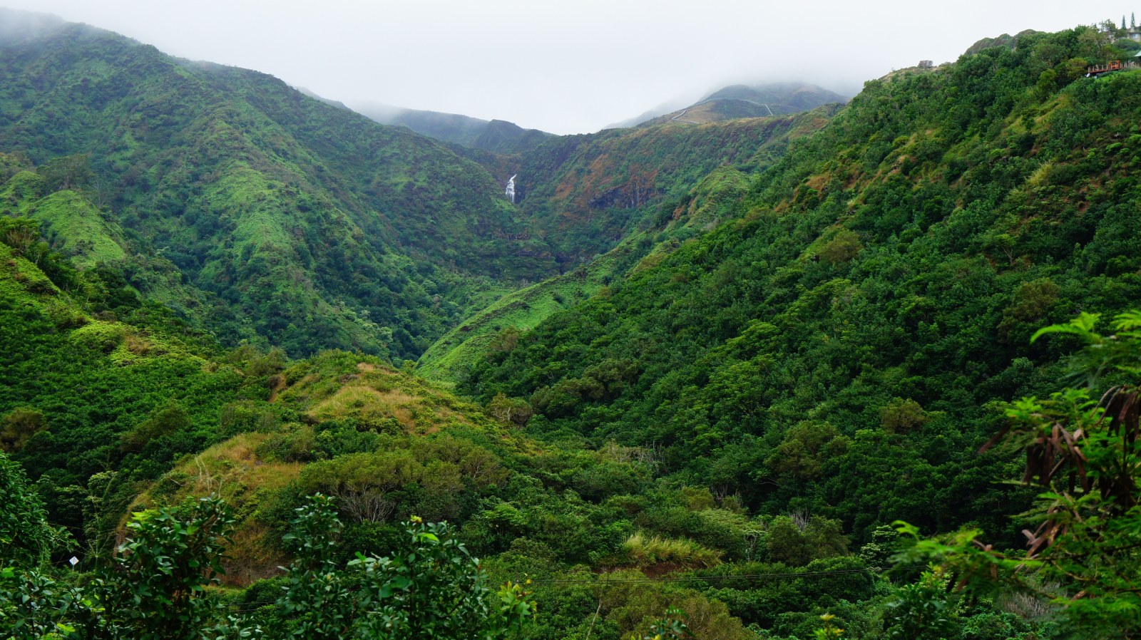 Lush Valley in Maui — Nature wallpaper
