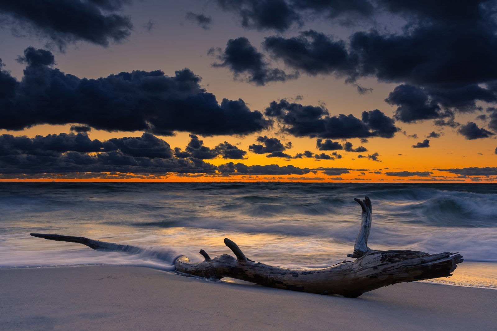 Driftwood on a Sunset Beach Wallpaper — Nature wallpaper