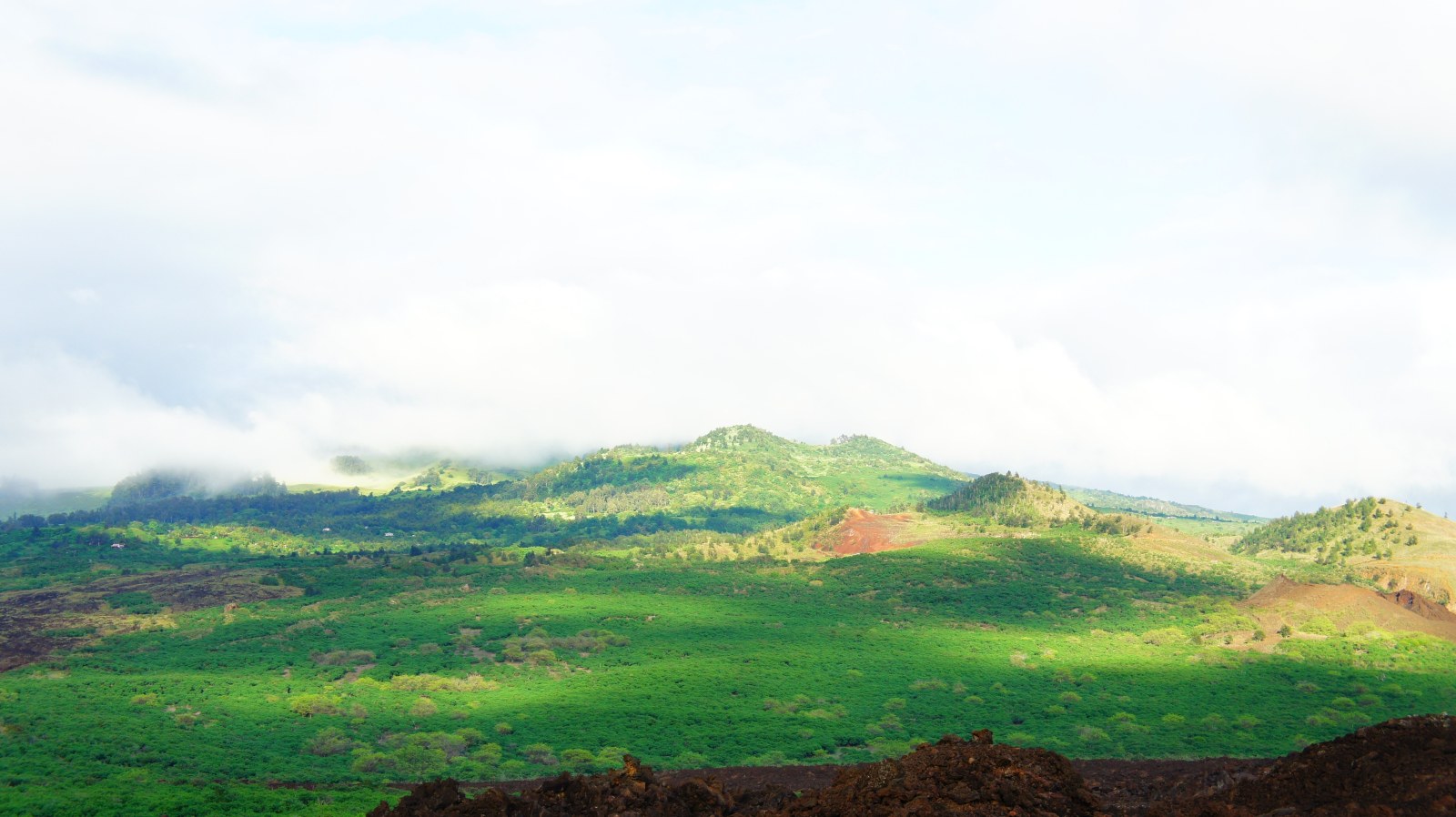 Green Coastal Hills — Ocean & Beach wallpaper