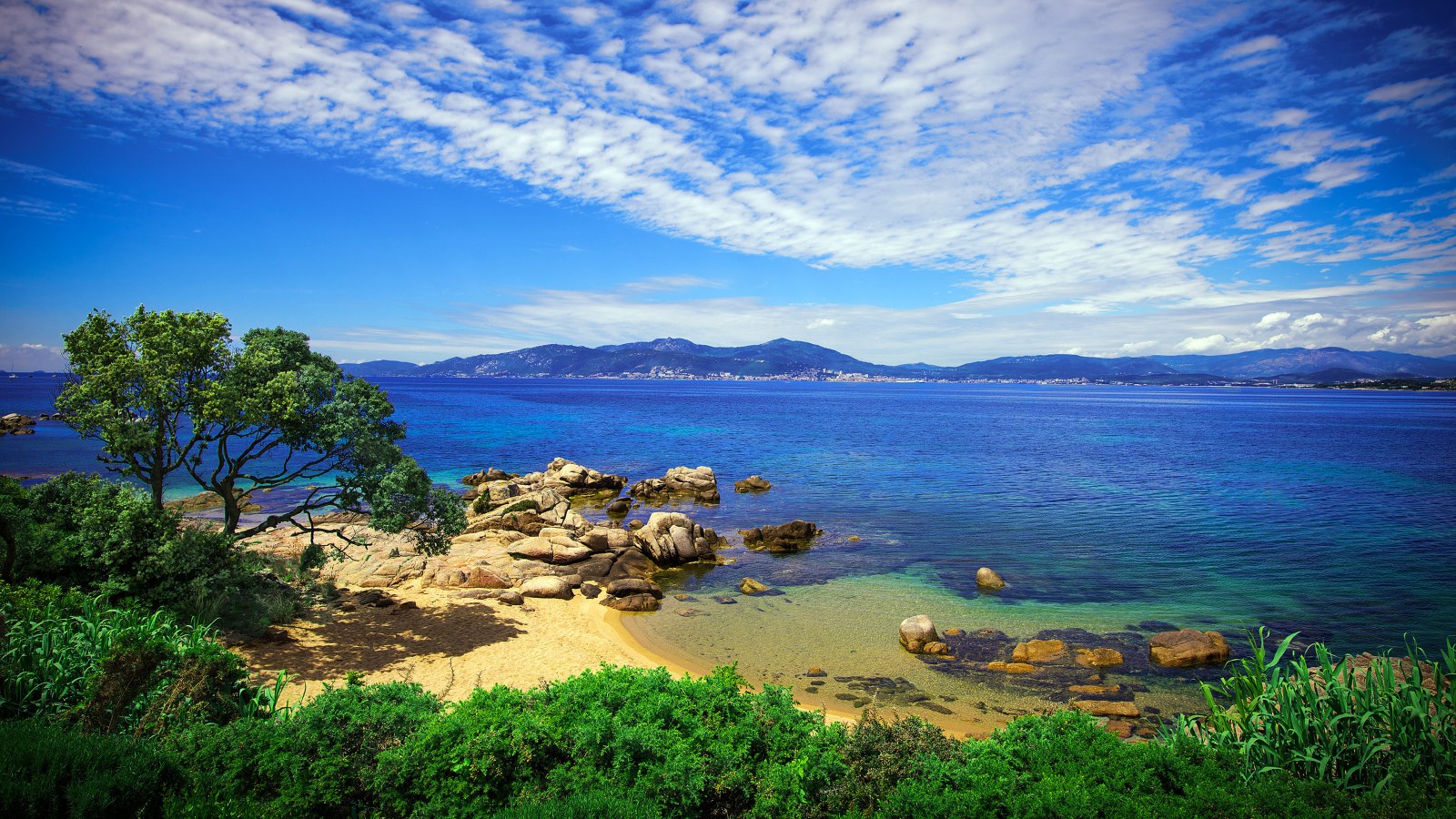 Sunlit Coastal Bay with Tree and Rocky Beach — Nature wallpaper