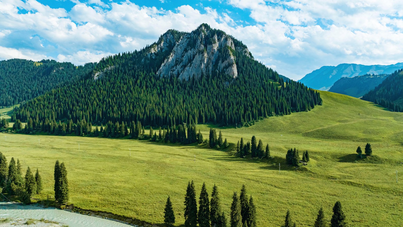 Mountain Meadow and Pine Forest Wallpaper — Nature wallpaper