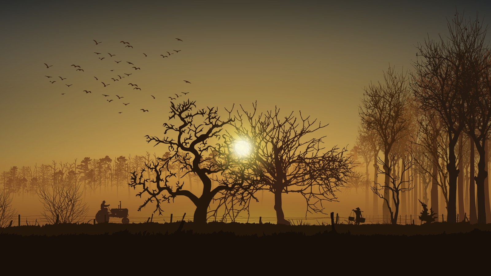 Trees in Warm Natural Light — Sunsets & Sunrises wallpaper