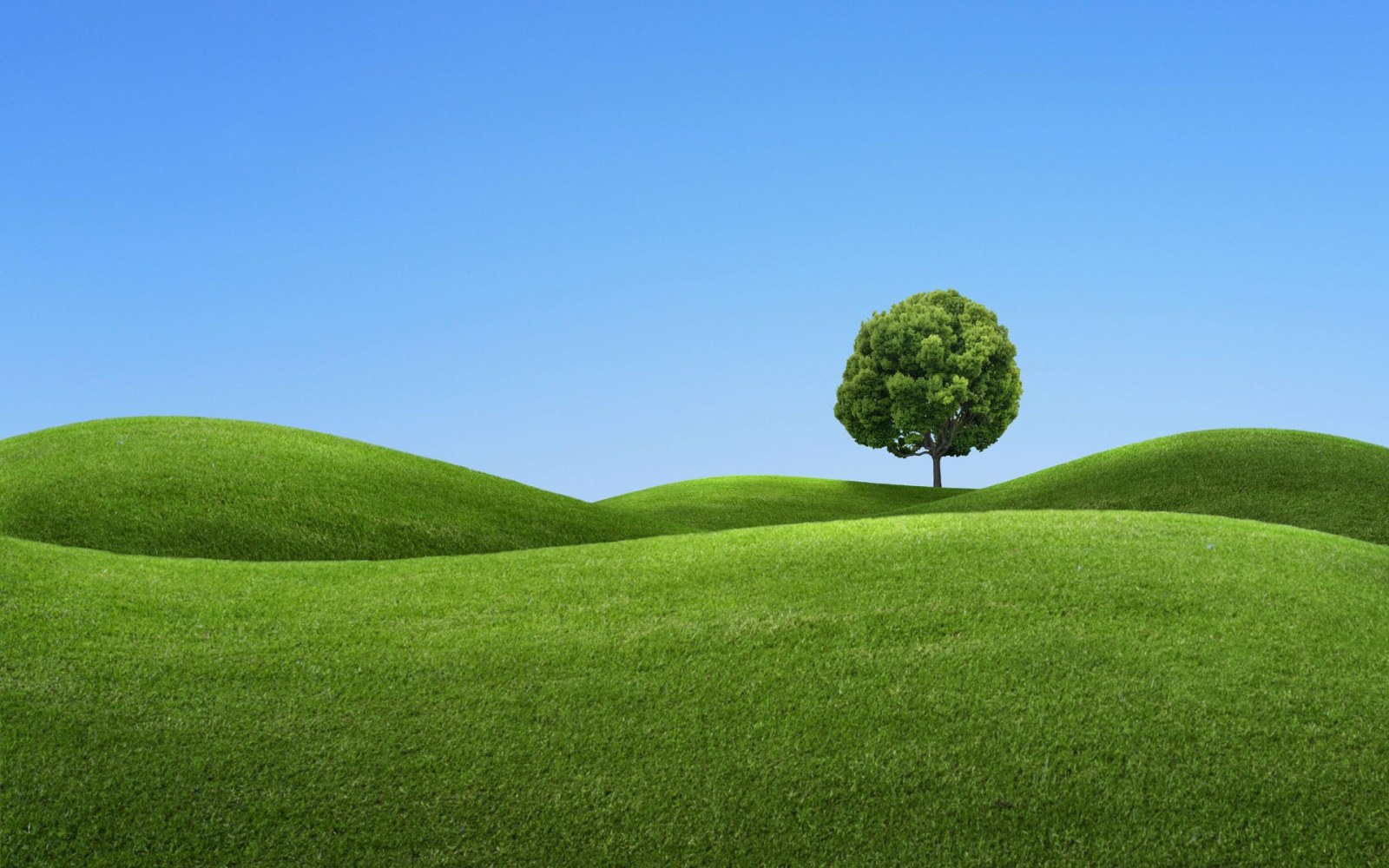 Lone Tree on Bright Green Hills Wallpaper — Minimal wallpaper