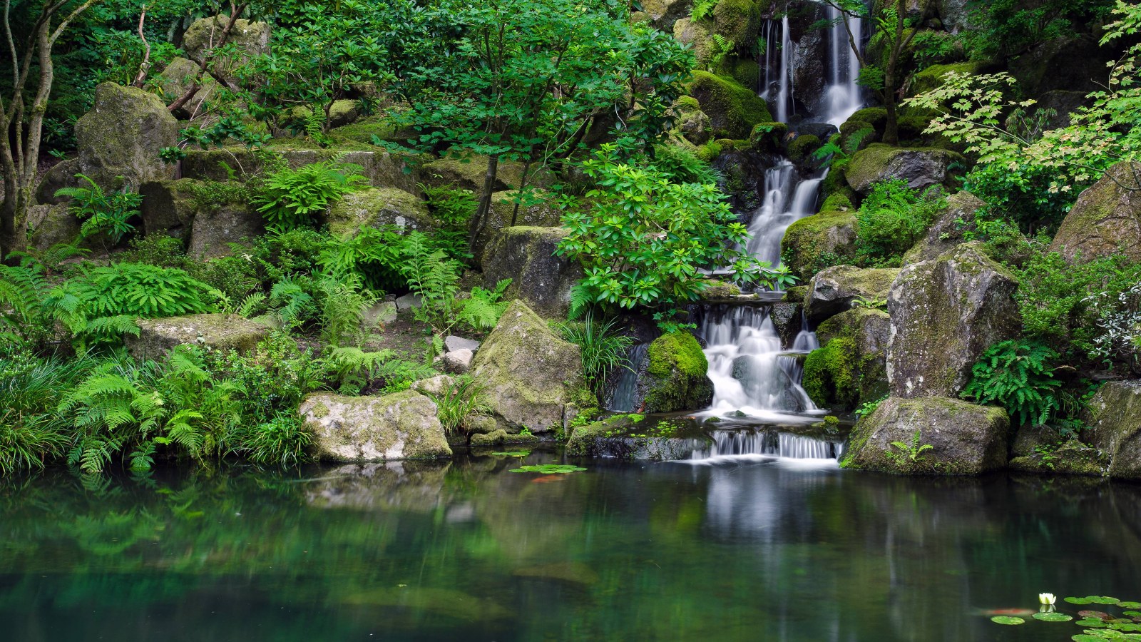 Green Forest Garden Waterfall 4K Wallpaper — Nature wallpaper