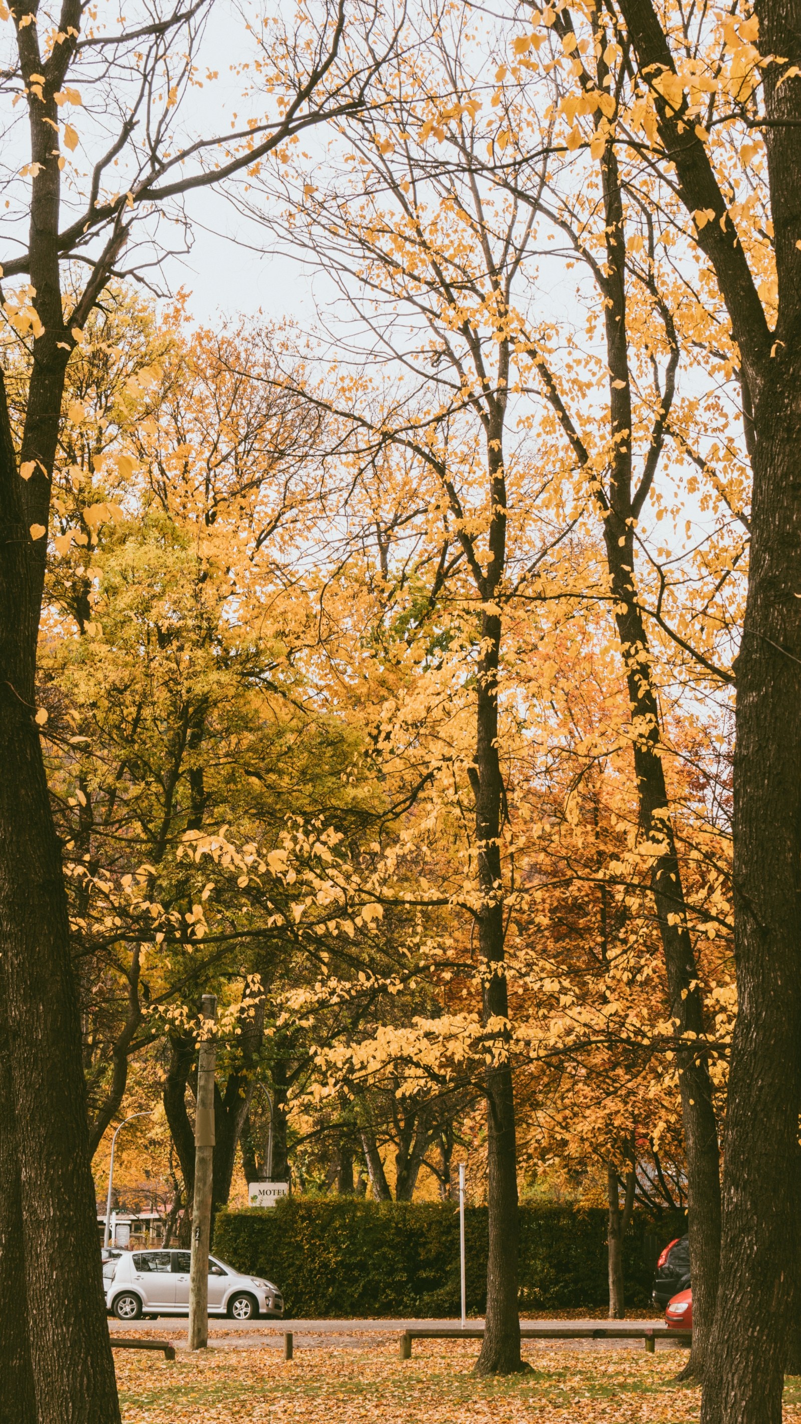 Natural Landscape in Warm Golden Light — Nature wallpaper