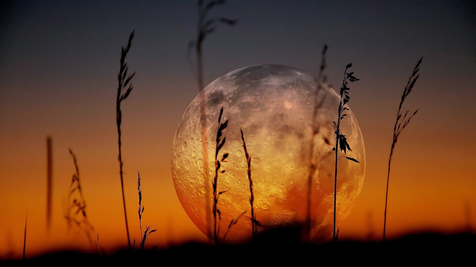 Moon in Warm Natural Light — Sunsets & Sunrises wallpaper
