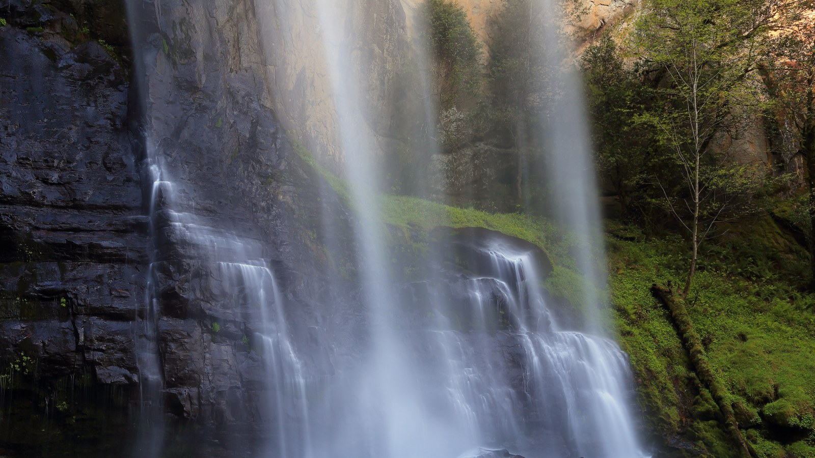 Tall Forest Waterfall Closeup 4K Wallpaper — Nature wallpaper