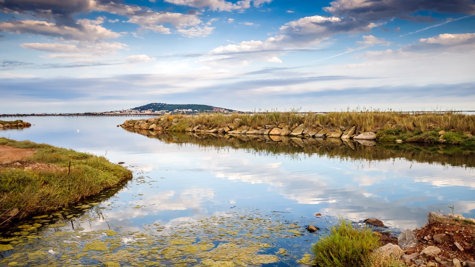 Coastal Marsh and Tidal Pools 4K Wallpaper — Nature wallpaper