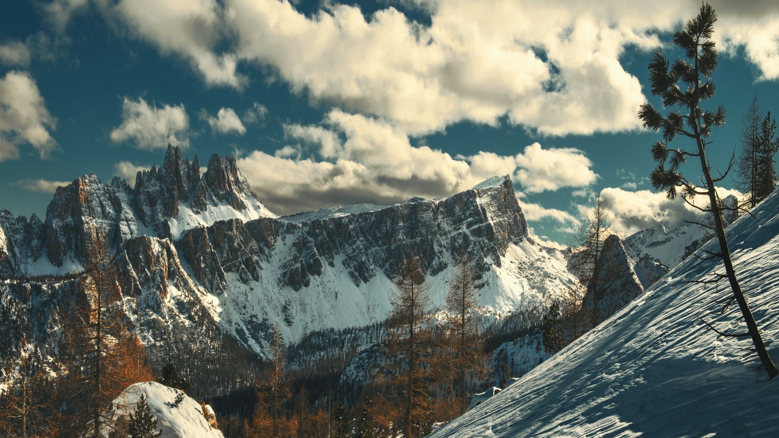 Sunlit Snowy Peaks and Pines — Winter wallpaper