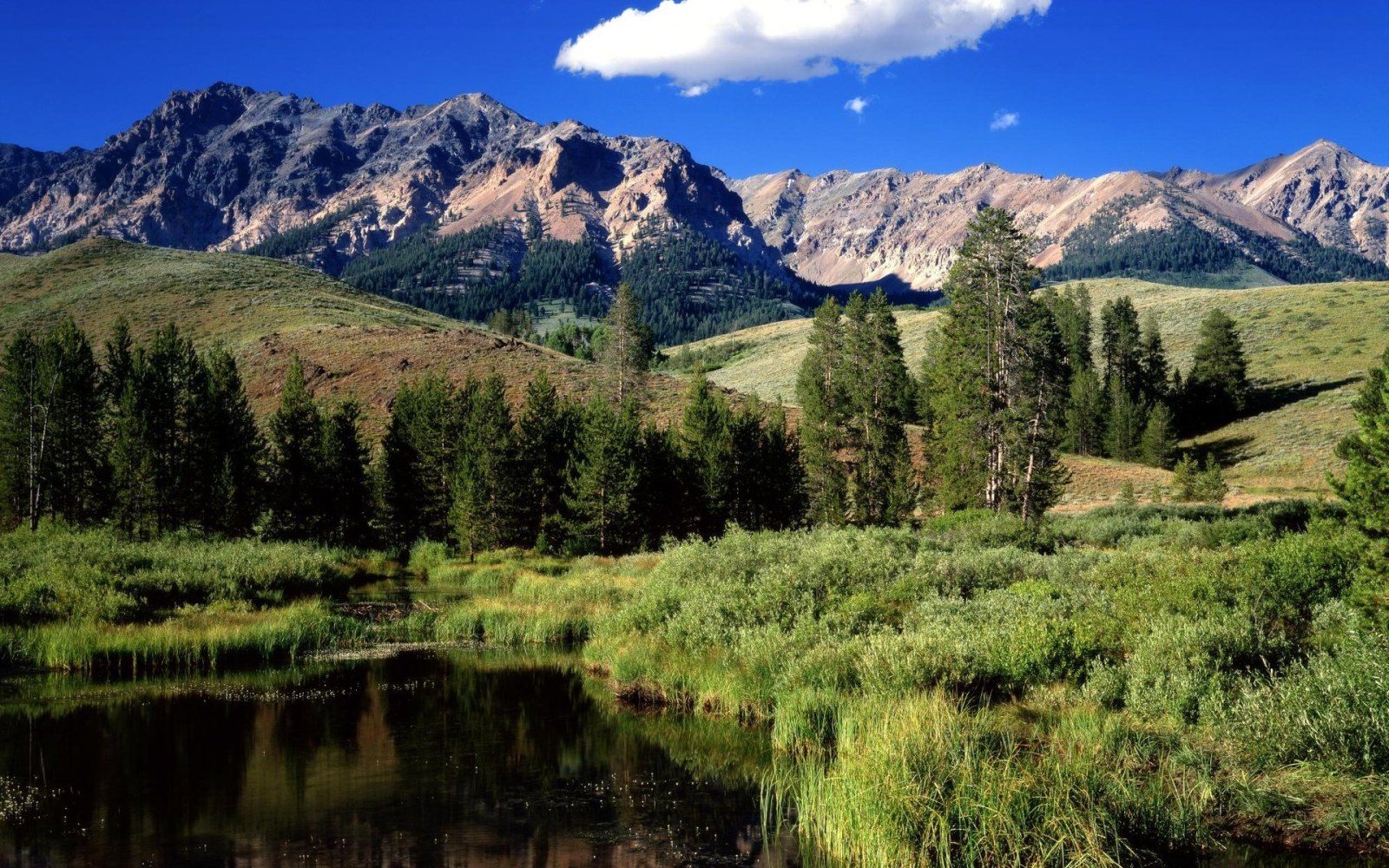 Mountain Meadow and Lake Reflection Wallpaper — Nature wallpaper