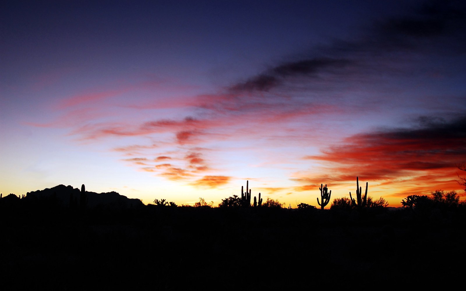 Desert Silhouettes at Dusk Wallpaper — Nature wallpaper
