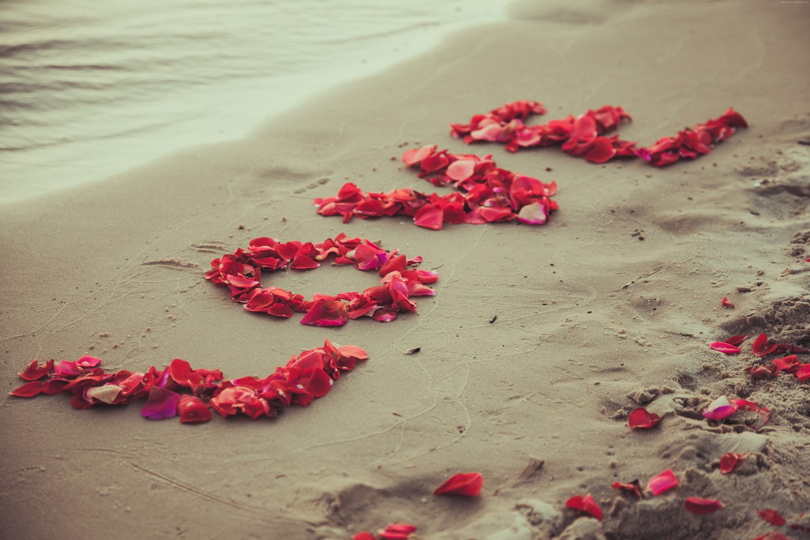 Rose Petals on the Sand — Ocean & Beach wallpaper