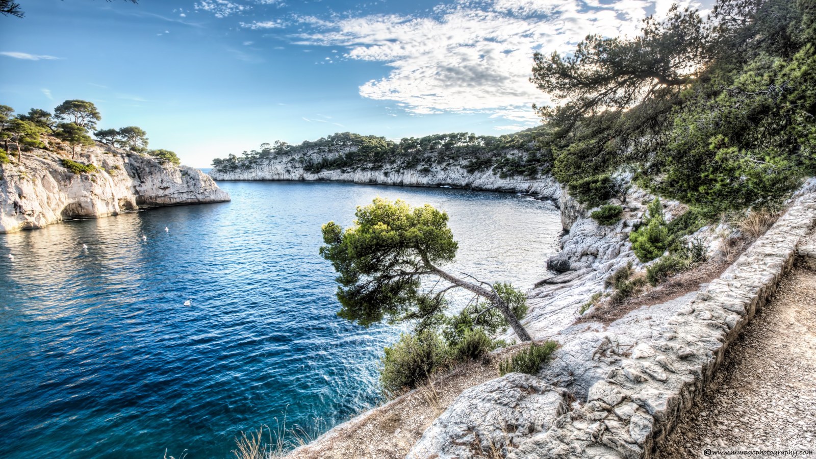 Blue Coastal Cove and Pine Trees 4K Wallpaper — Nature wallpaper