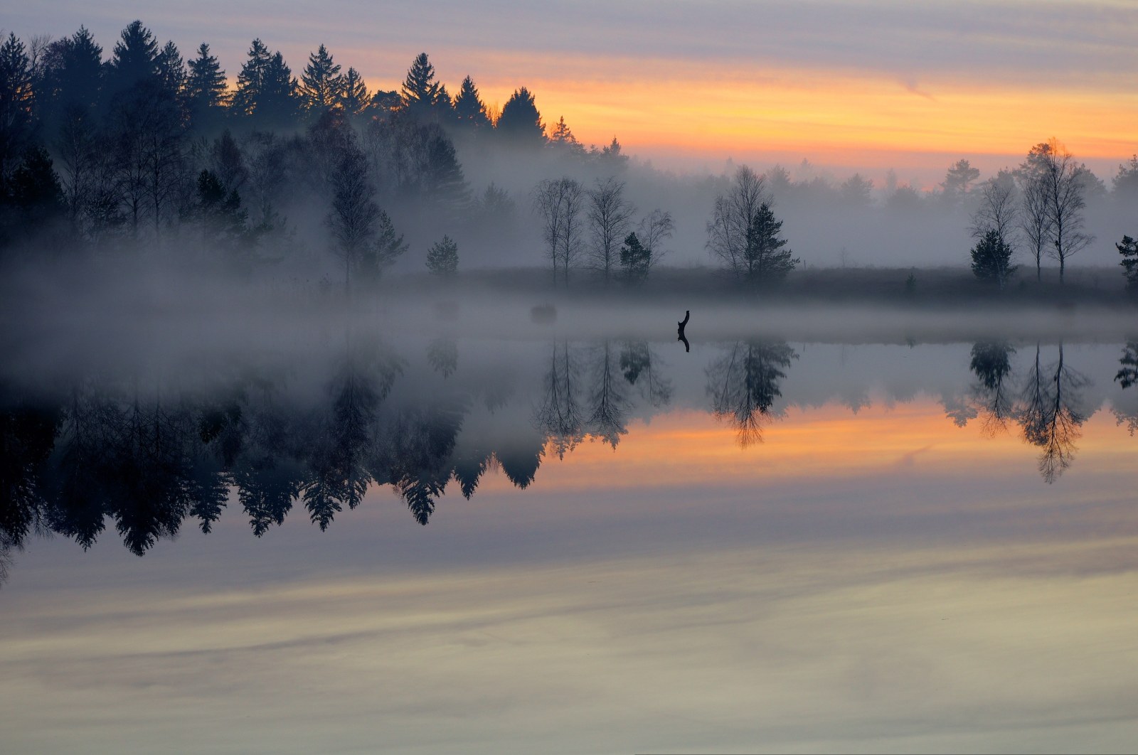 Evening Mist over a Lake — Nature wallpaper