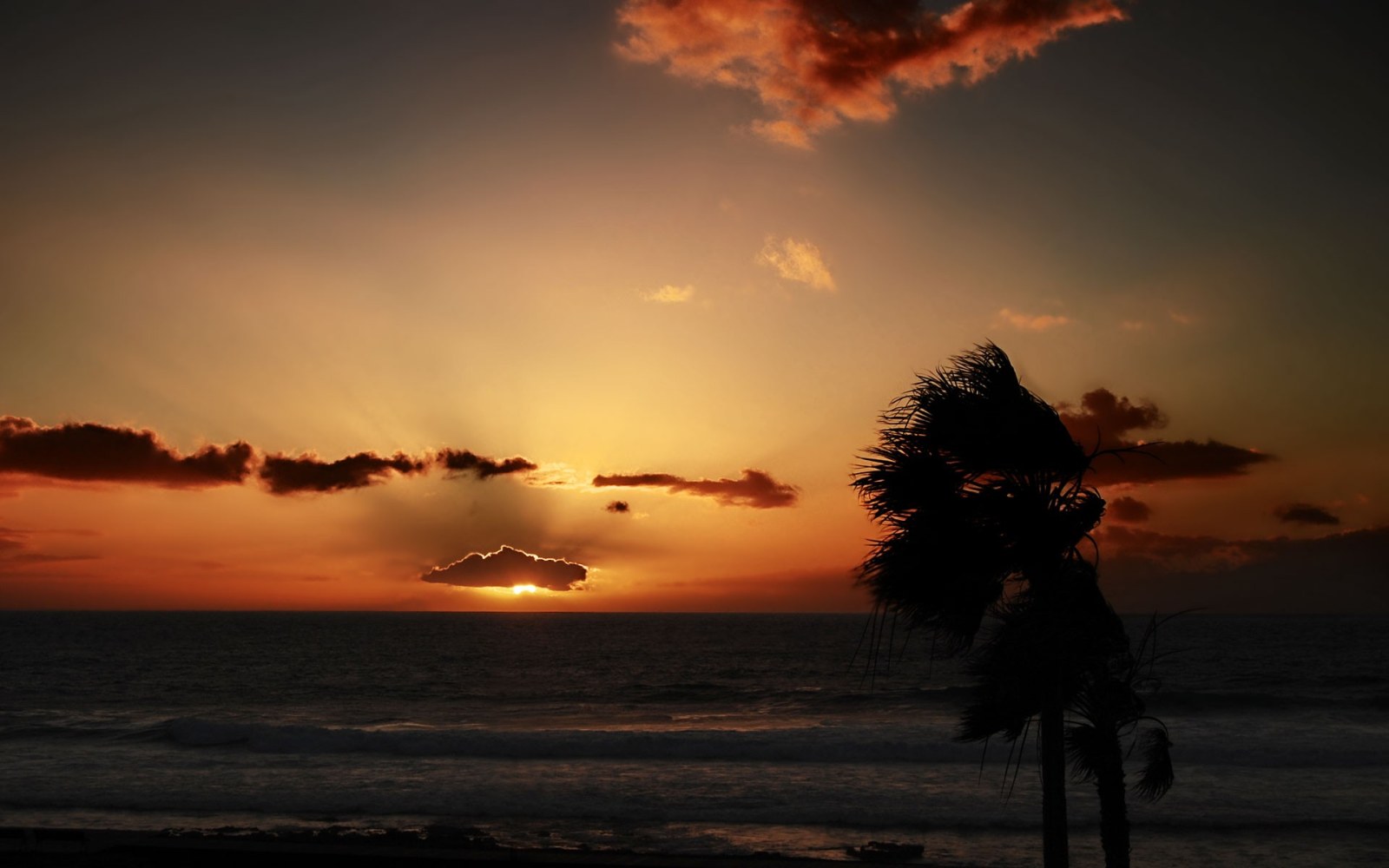 Palm Tree Silhouette at Sunset Wallpaper — Nature wallpaper