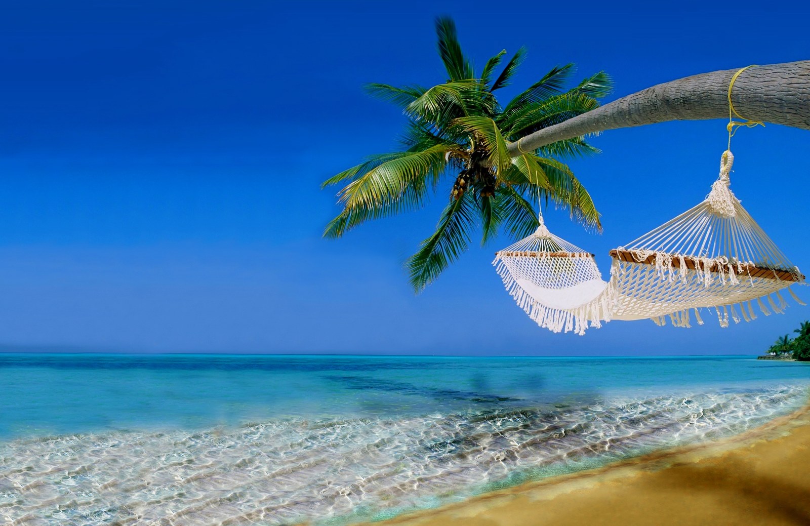 Hammock Between Palm Trees — Ocean & Beach wallpaper