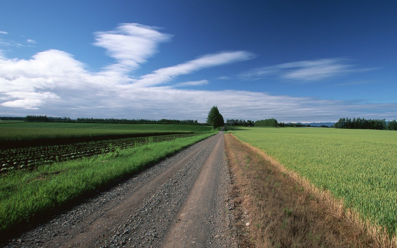 Country Road Beneath Wispy Clouds Wallpaper — Nature wallpaper