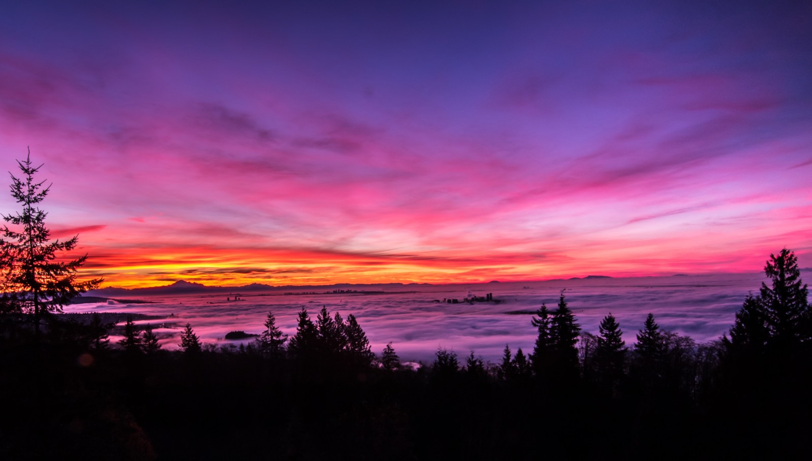 View of Nature in Vivid Natural Light — Nature wallpaper