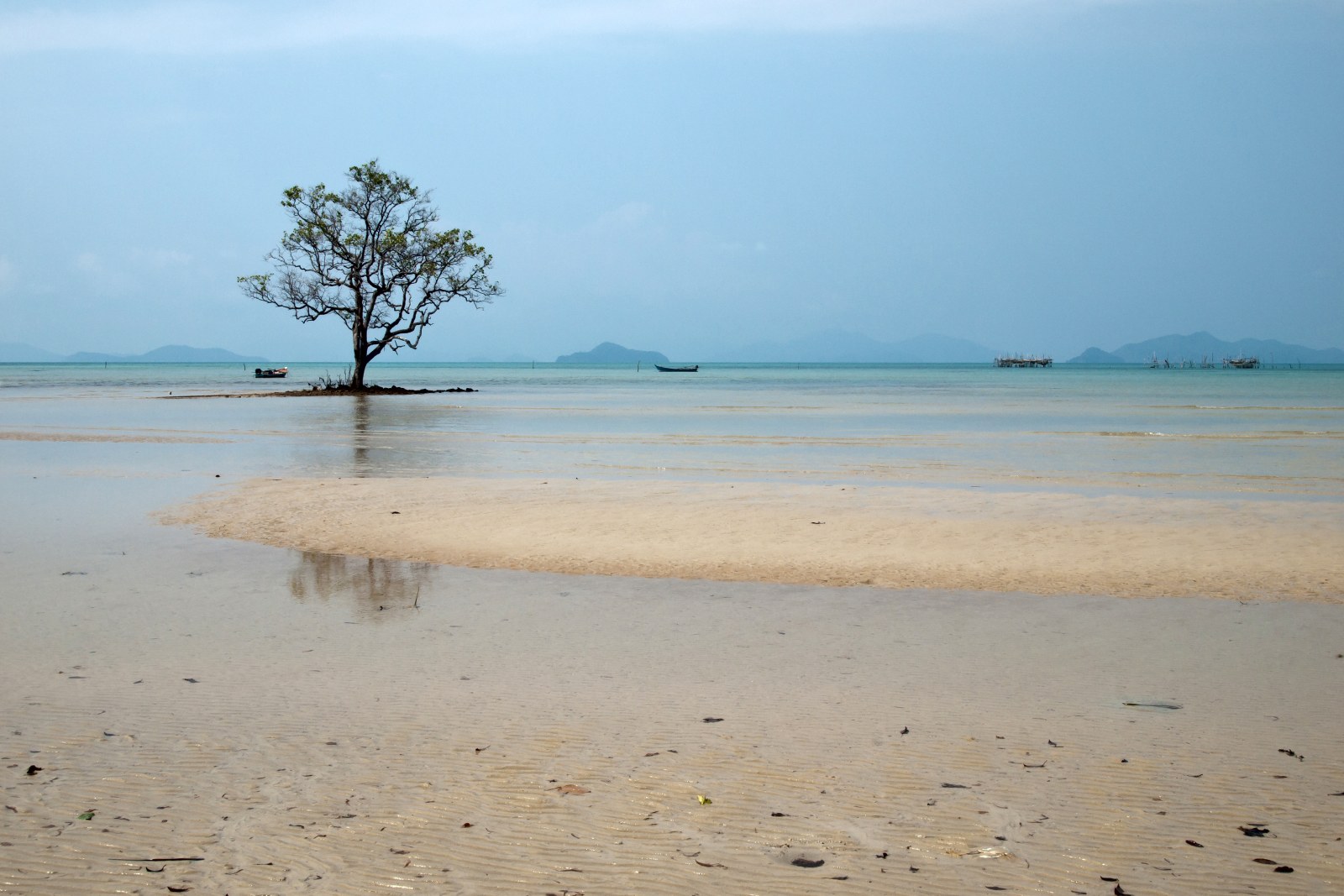 Lone Tree in a Lagoon, Koh Mak — Ocean & Beach wallpaper
