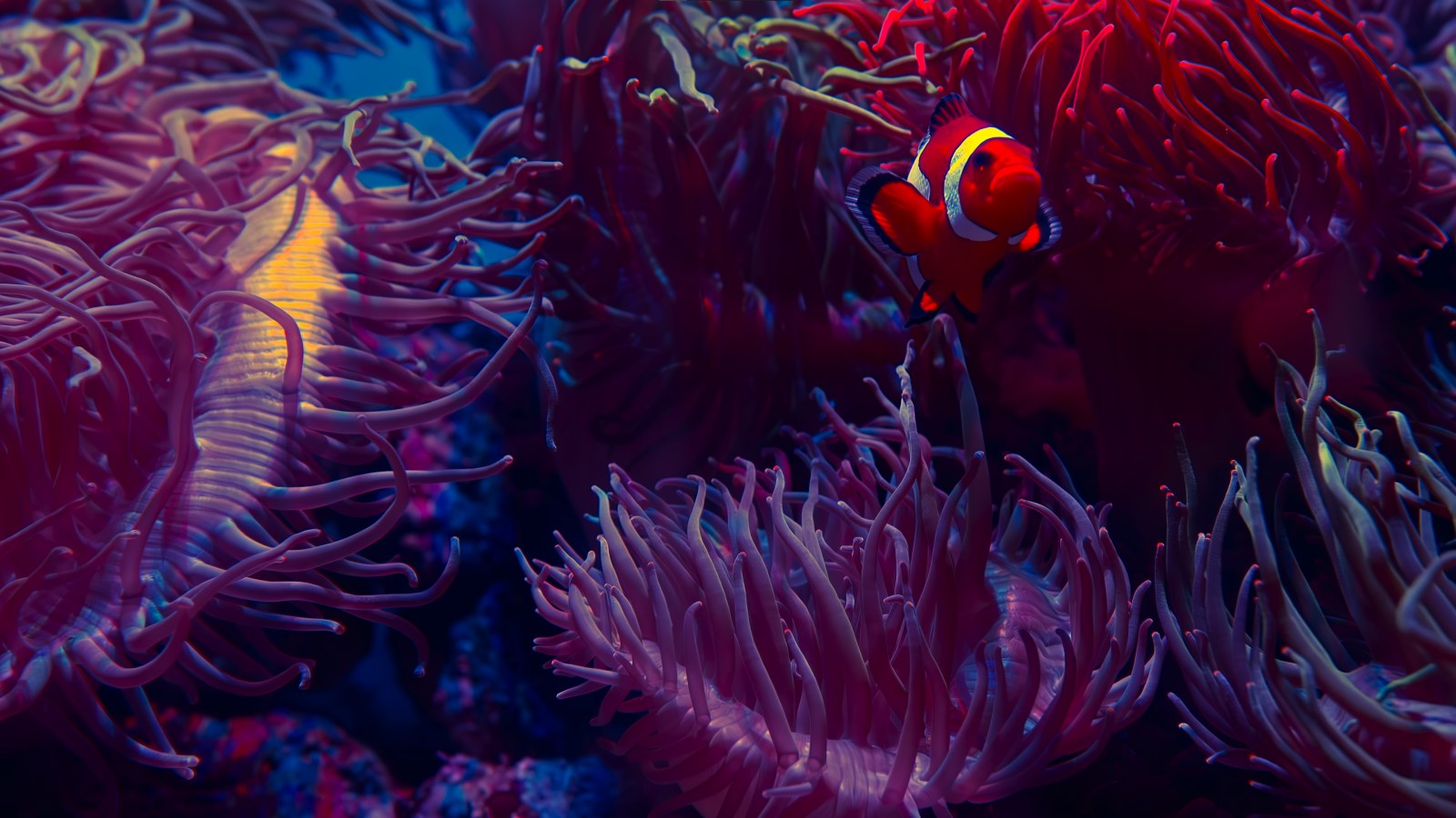 Moody Ocean with Coral Reef — Underwater wallpaper