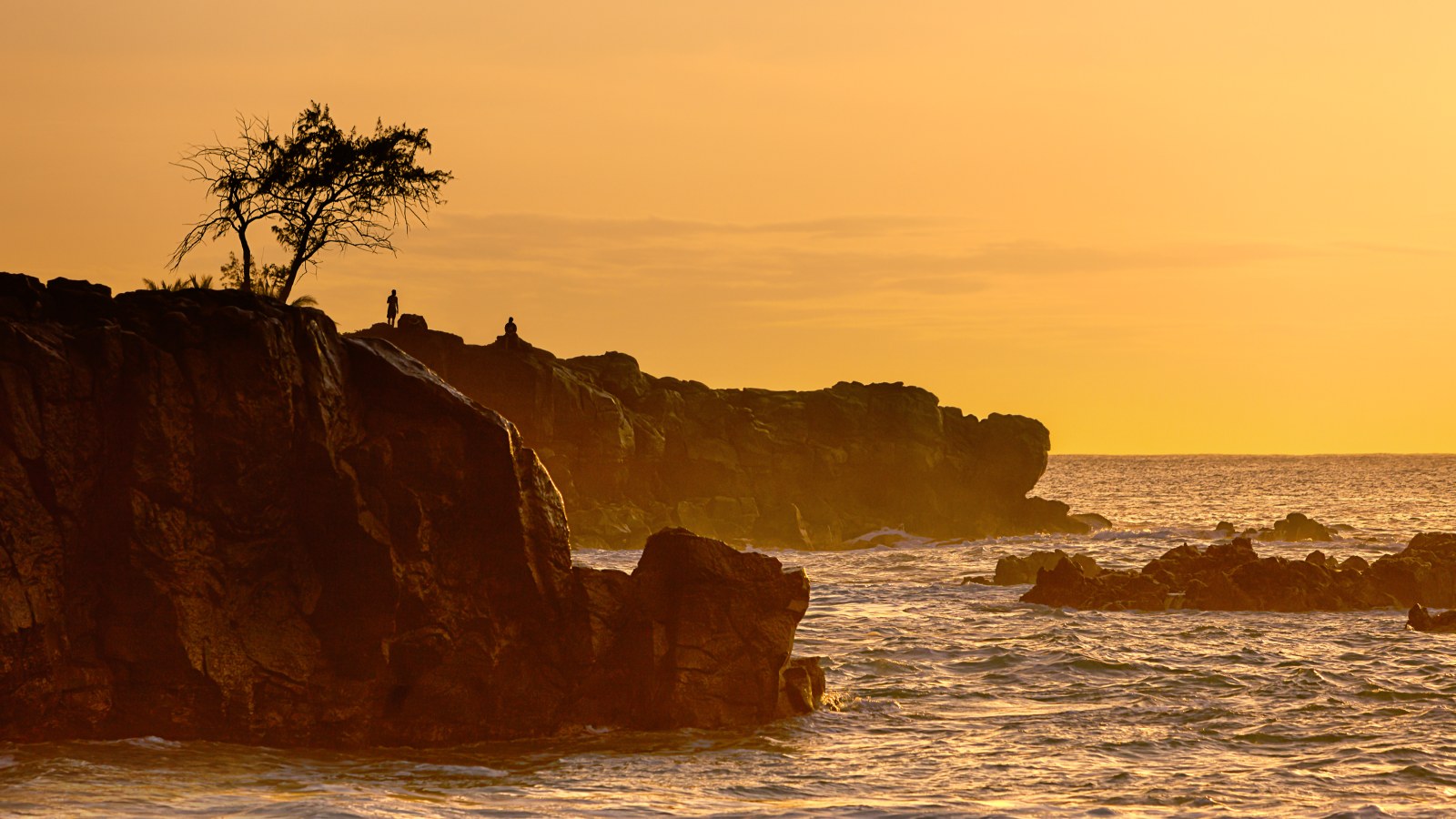 Clifftop Tree at Sunset 4K Wallpaper — Nature wallpaper