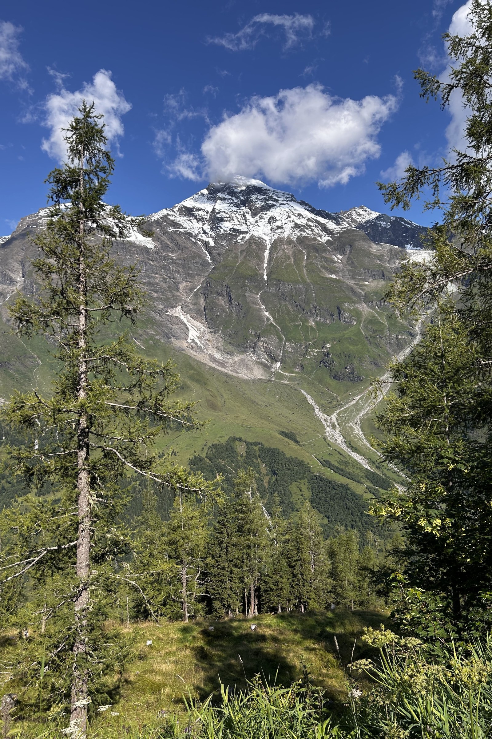Mountain Peaks and Mountains in Olive Light — Mountains wallpaper