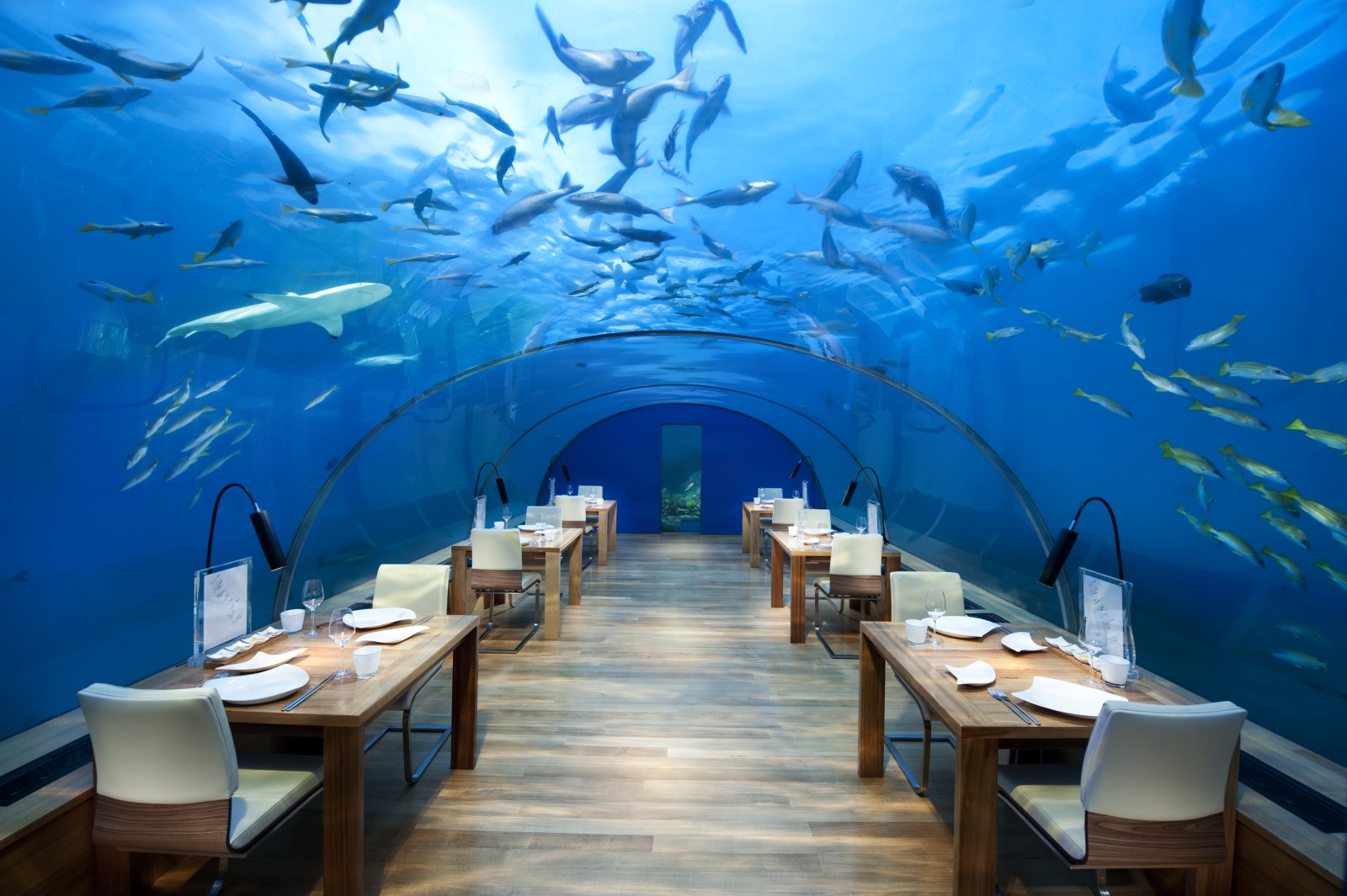 Ocean in Cool Teal Light — Underwater wallpaper