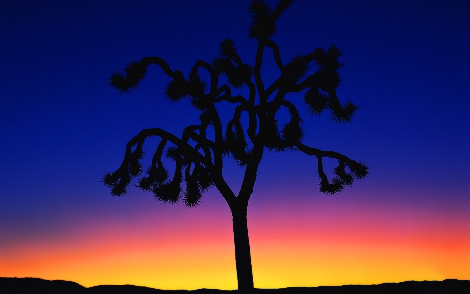 Lone Tree Silhouette at Sunset Wallpaper — Minimal wallpaper