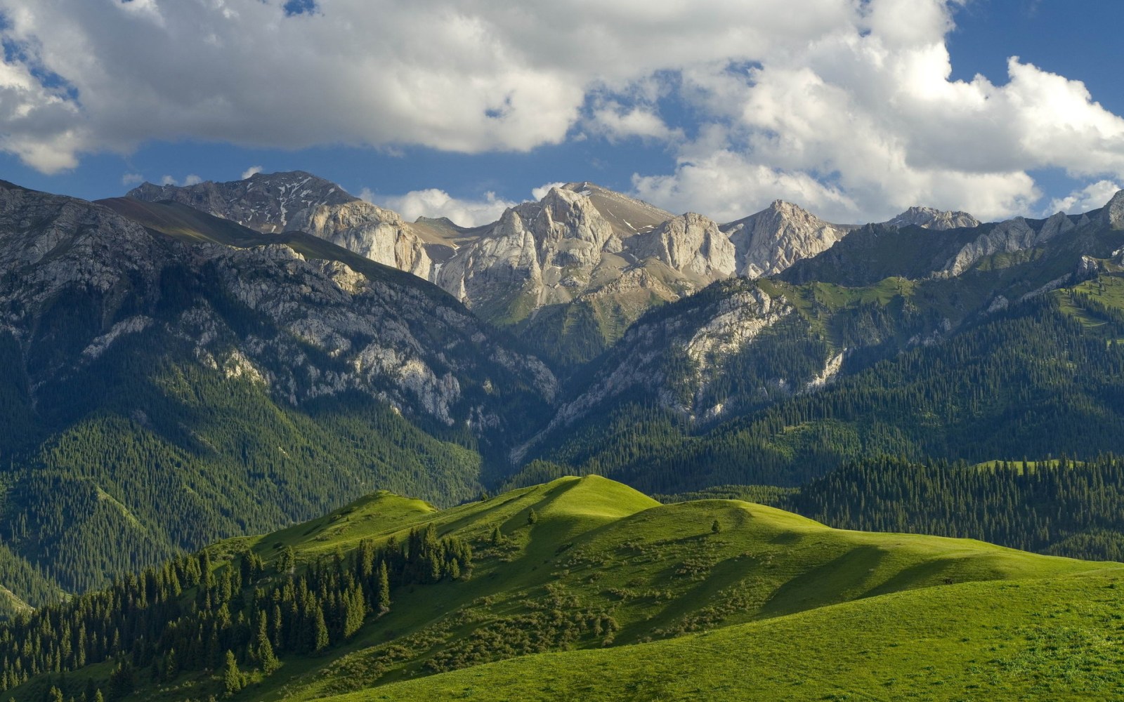 Green Alpine Hills and Rugged Peaks (nature, landscape)
