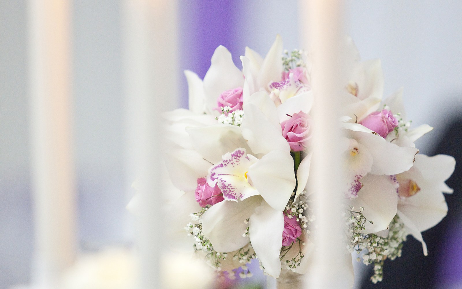 White Orchid Bouquet Wallpaper — Macro / Biophilic Nature wallpaper