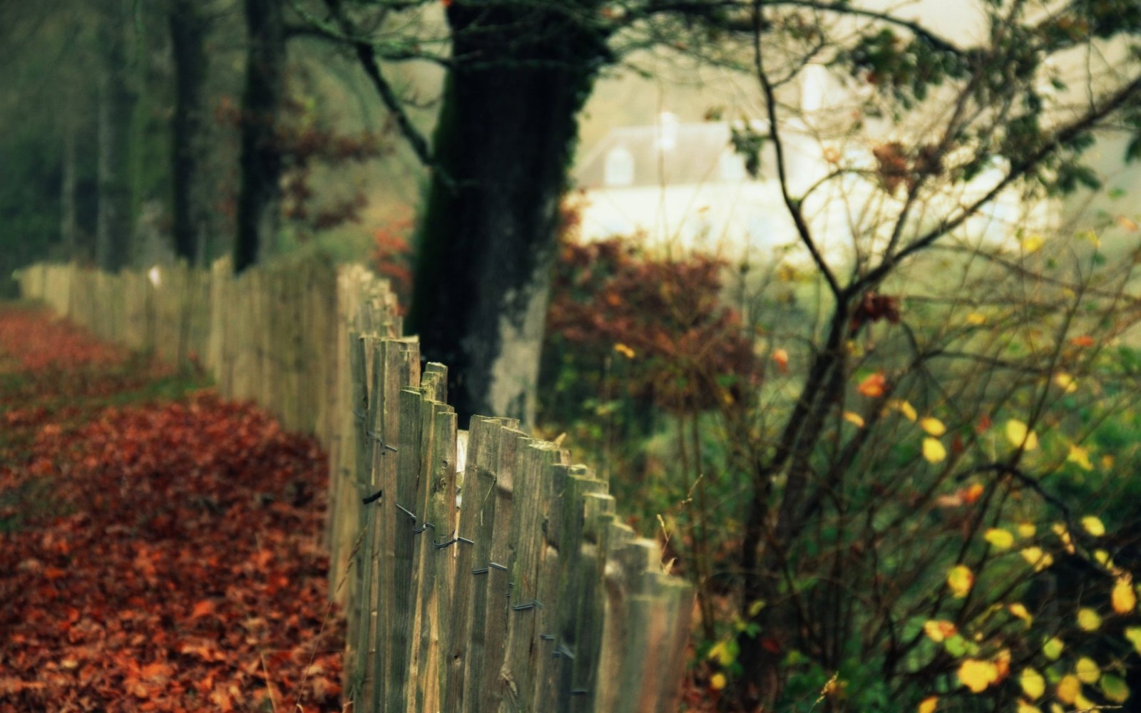 Rustic Fence in an Autumn Forest Wallpaper — Nature wallpaper