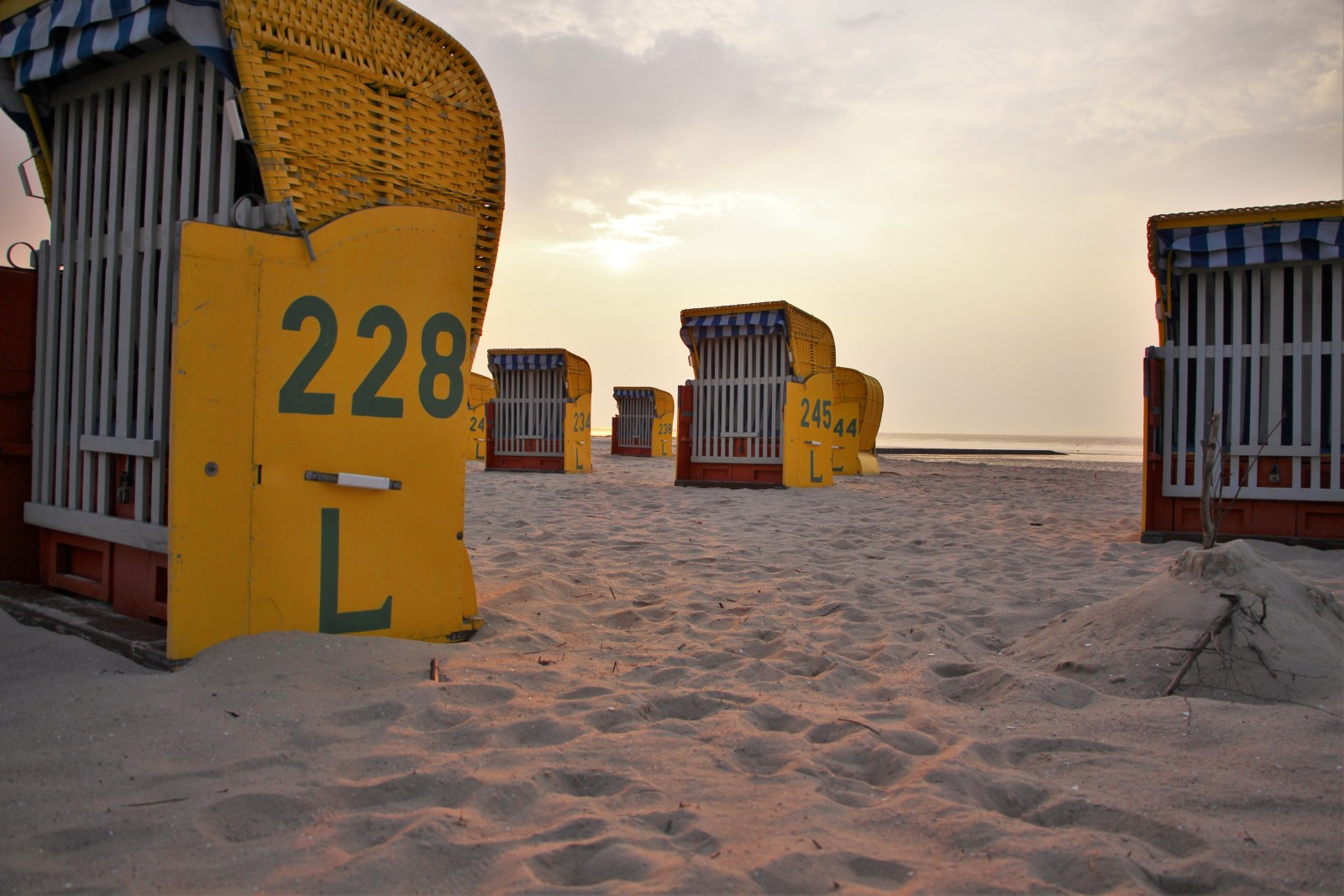 Numbered Beach Chairs — Ocean & Beach wallpaper