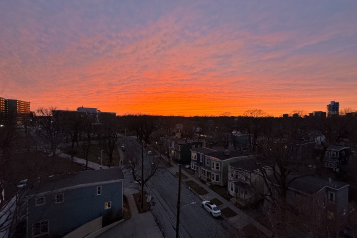 Sunset City Street with Trees — City wallpaper