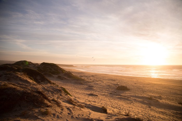 Sunlit Sand at the Shore — Ocean & Beach wallpaper